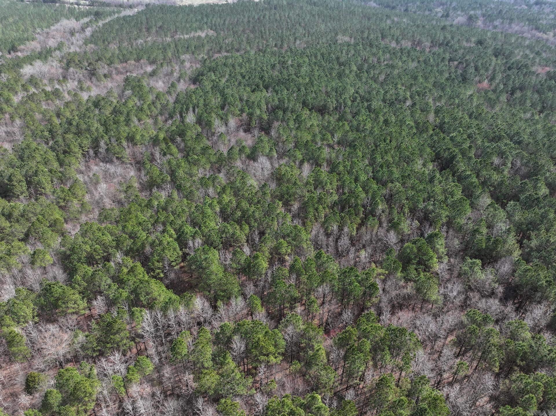 XXX J Dunson Tract 1 Langley, AR