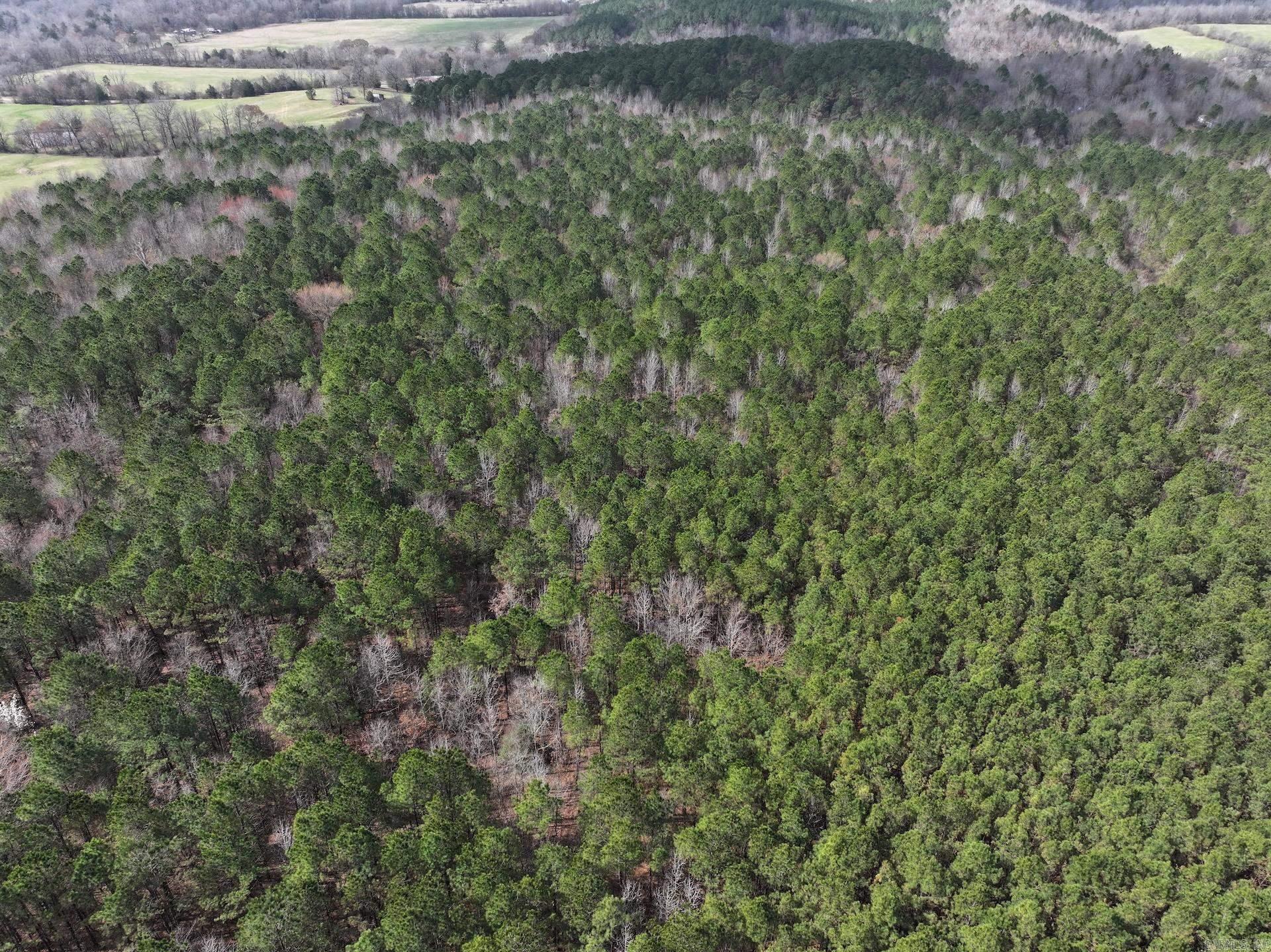 XXX J Dunson Tract 1 Langley, AR
