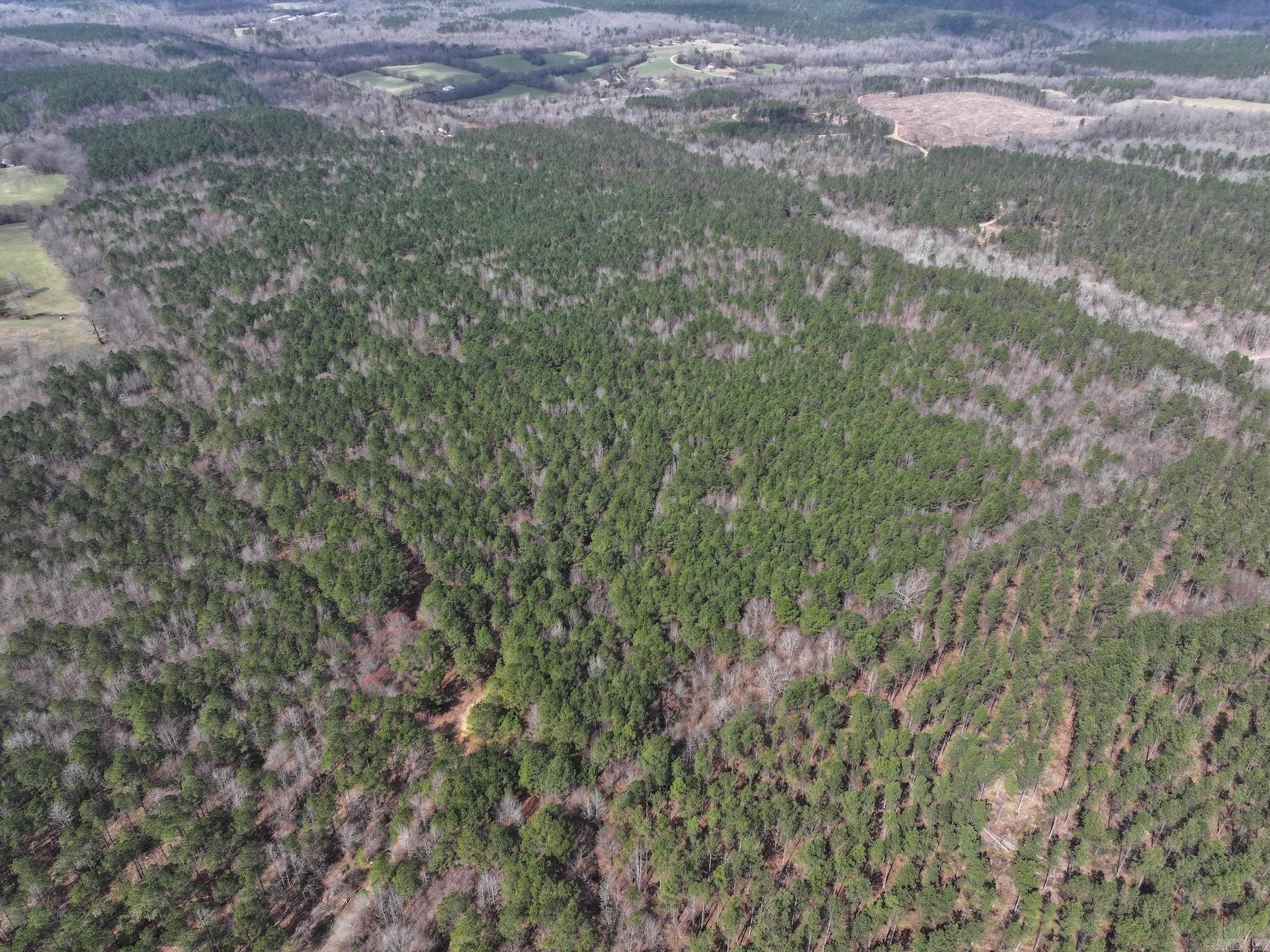 XXX J Dunson Tract 1 Langley, AR