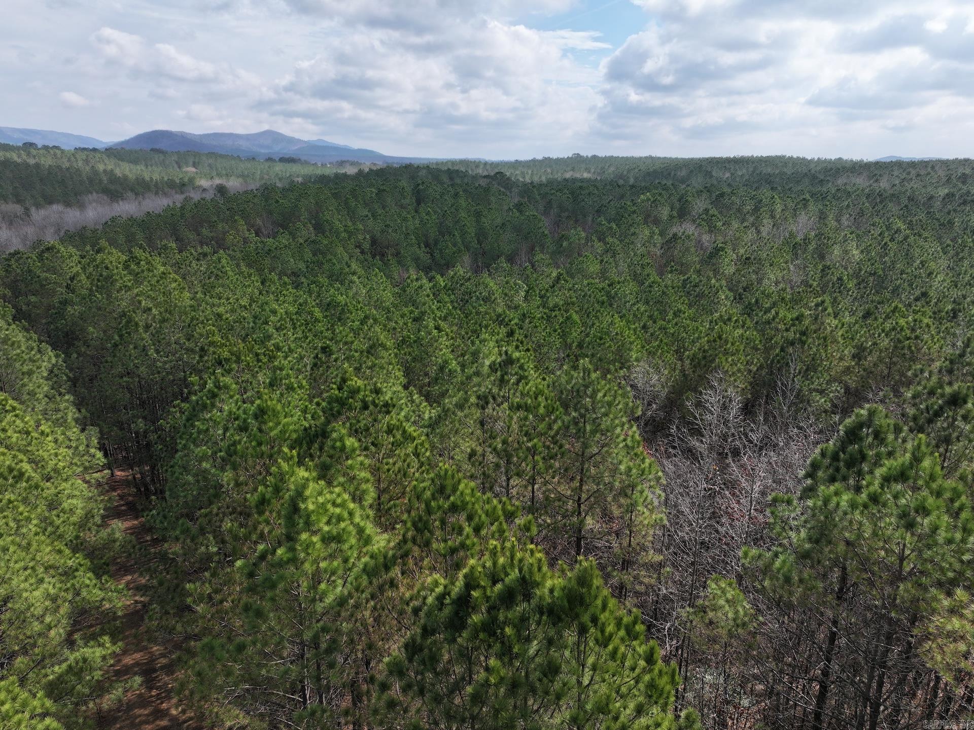 XXX J Dunson Tract 1 Langley, AR