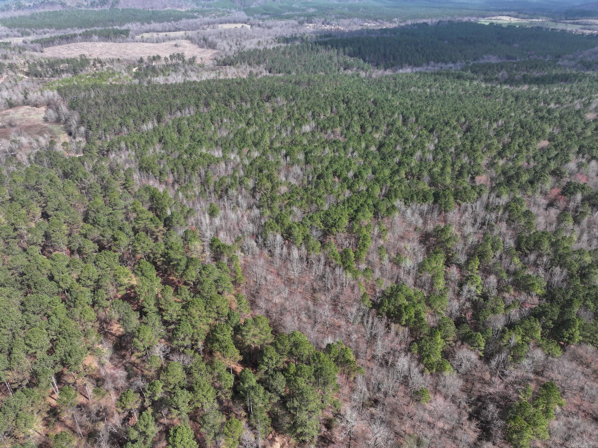 XXX J Dunson Tract 1 Langley, AR