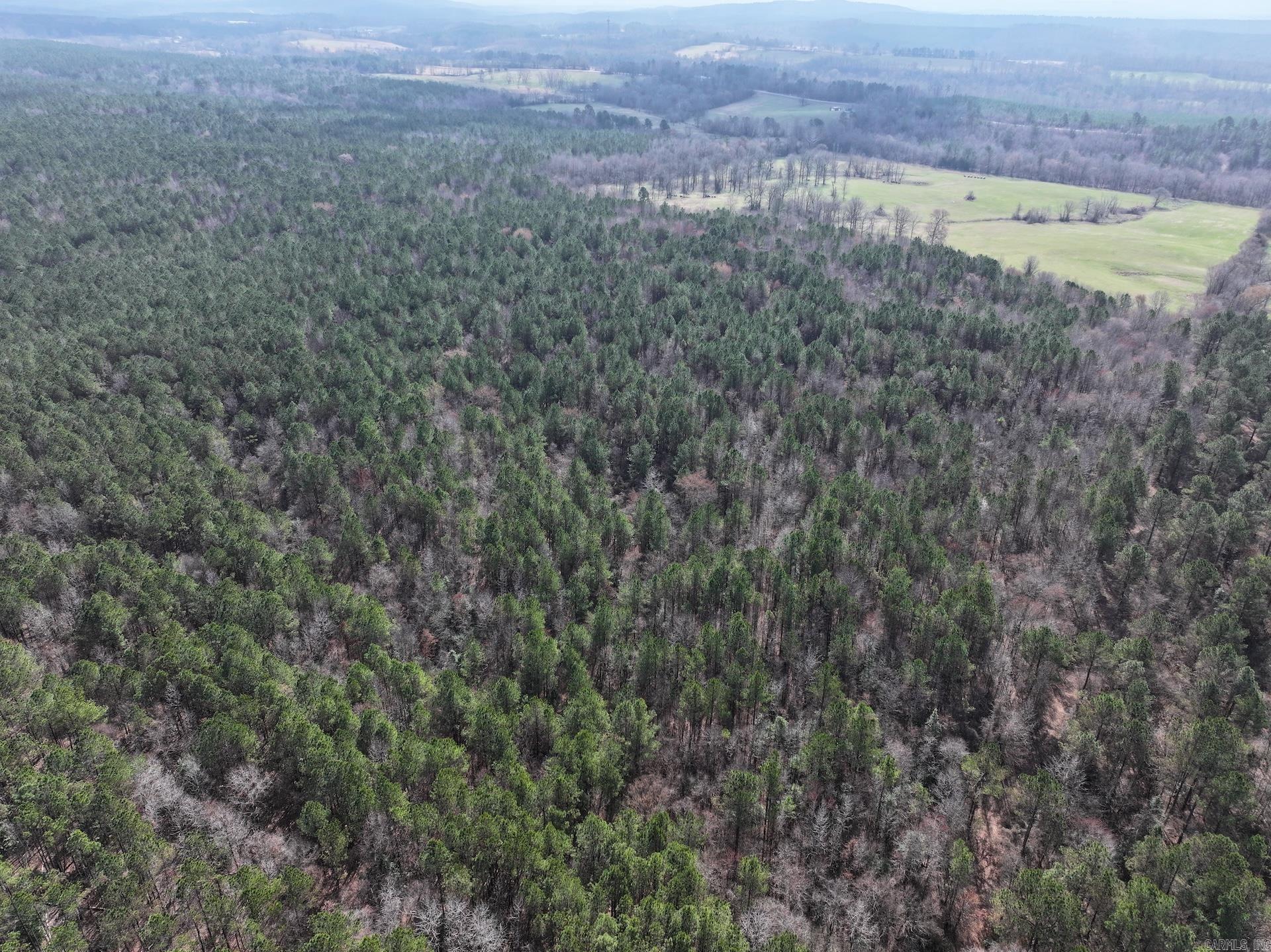 XXX J Dunson Tract 1 Langley, AR