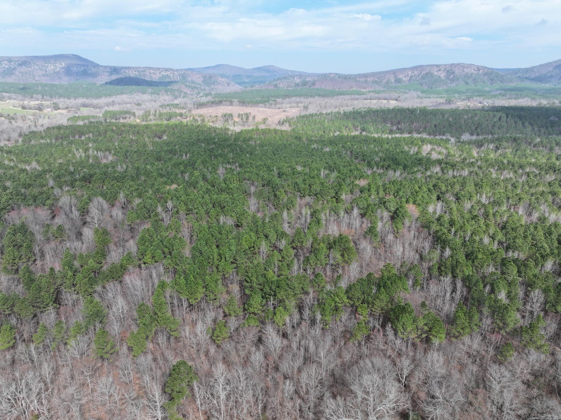 XXX J Dunson Tract 1 Langley, AR