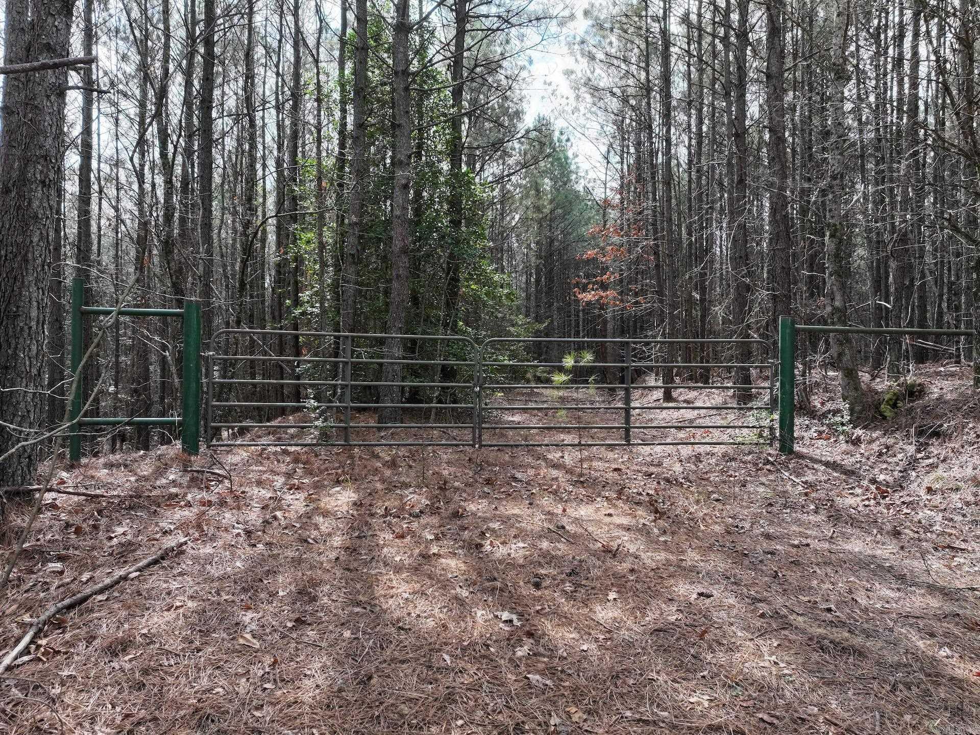XXX J Dunson Tract 1 Langley, AR