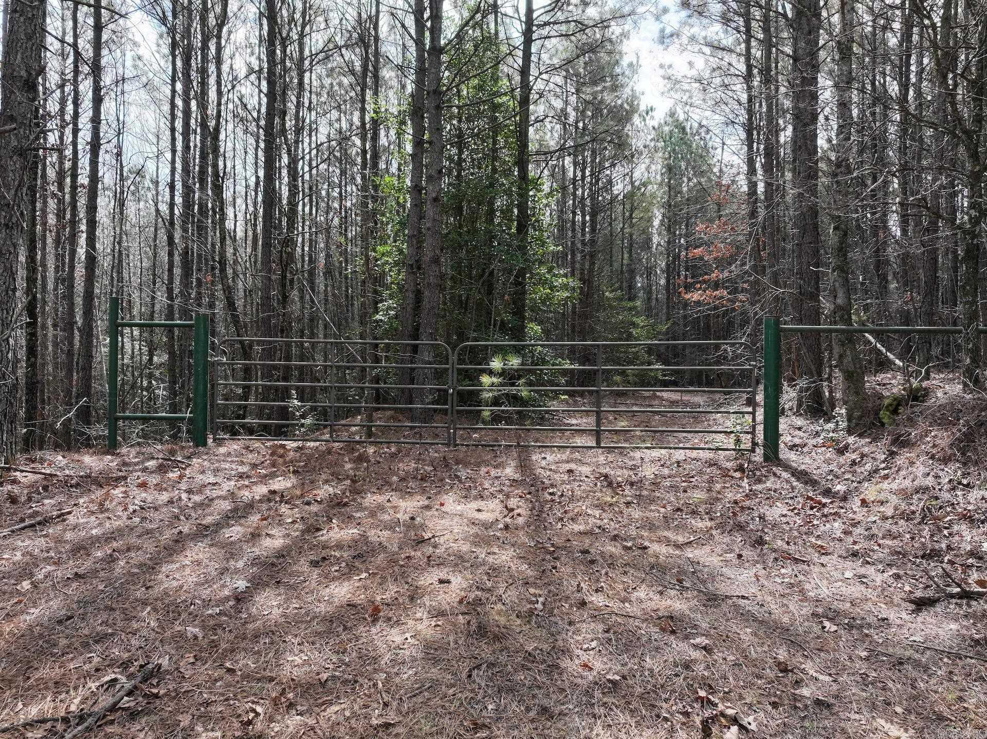 XXX J Dunson Tract 1 Langley, AR