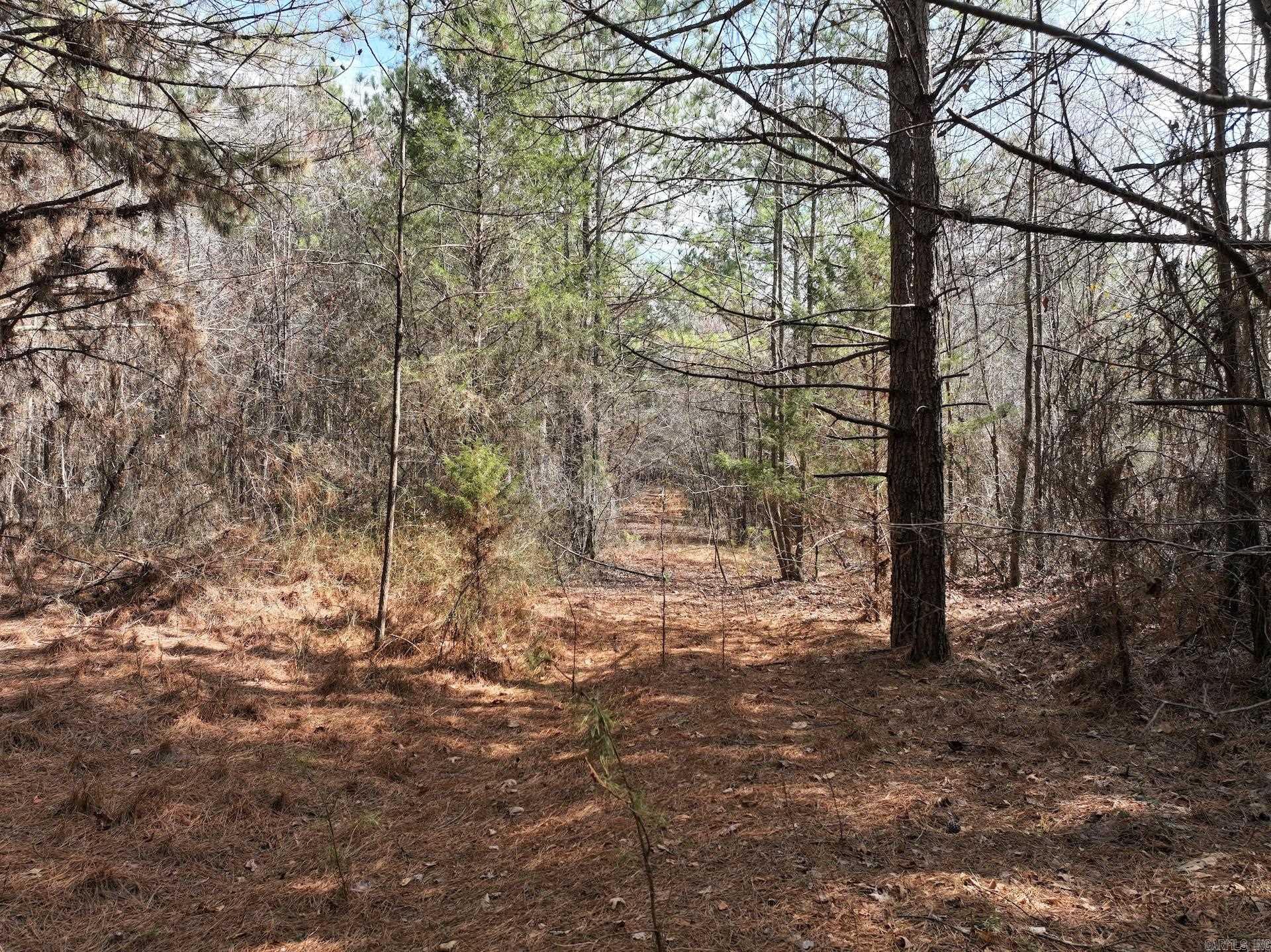 XXX J Dunson Tract 1 Langley, AR