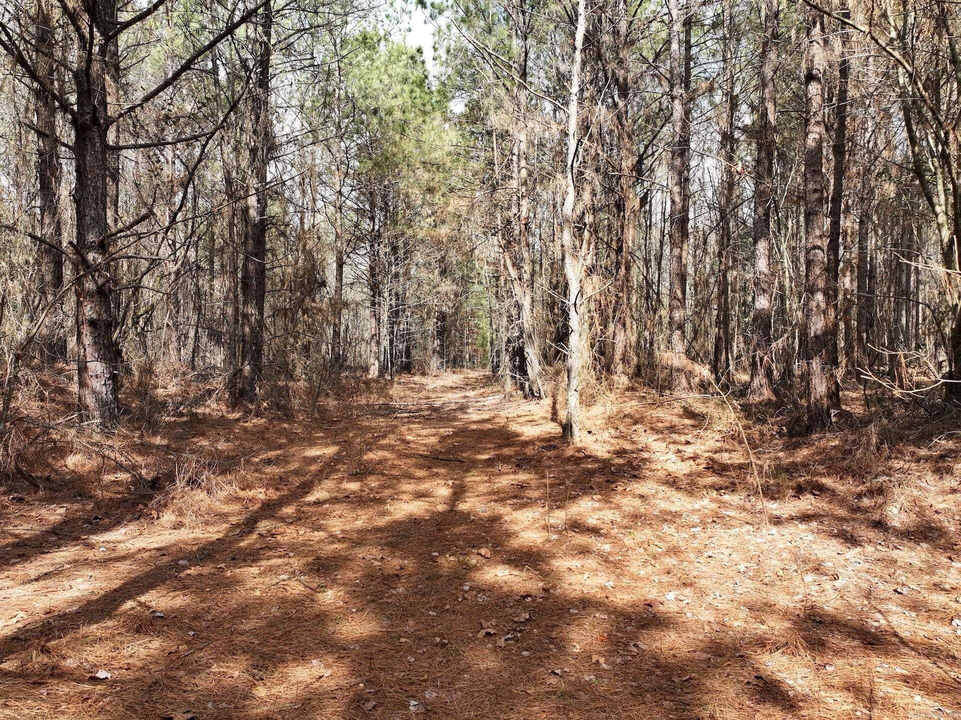 XXX J Dunson Tract 1 Langley, AR