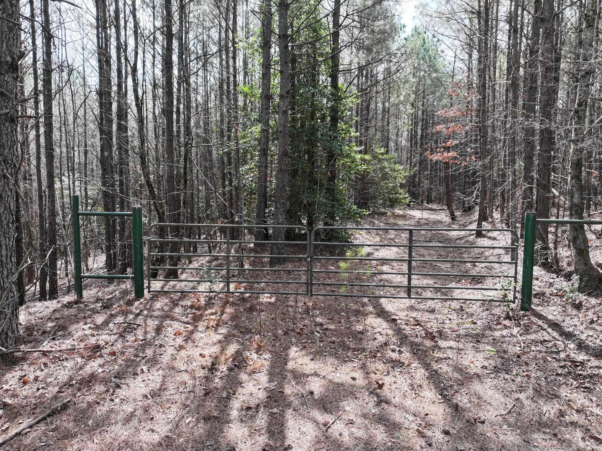 XXX J Dunson Tract 1 Langley, AR