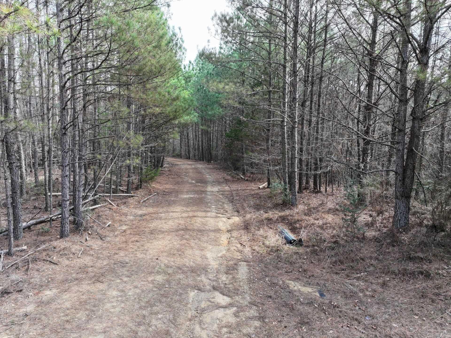 XXX J Dunson Tract 1 Langley, AR