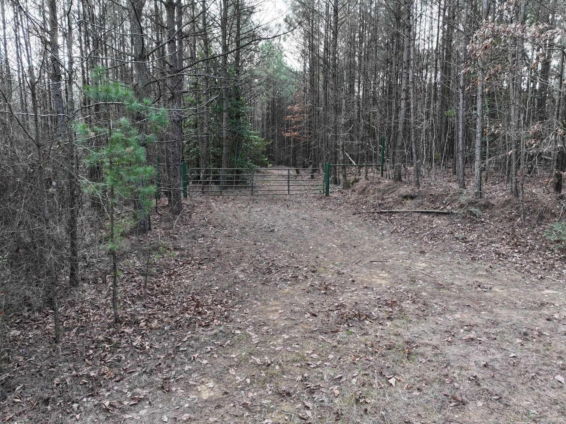 XXX J Dunson Tract 1 Langley, AR