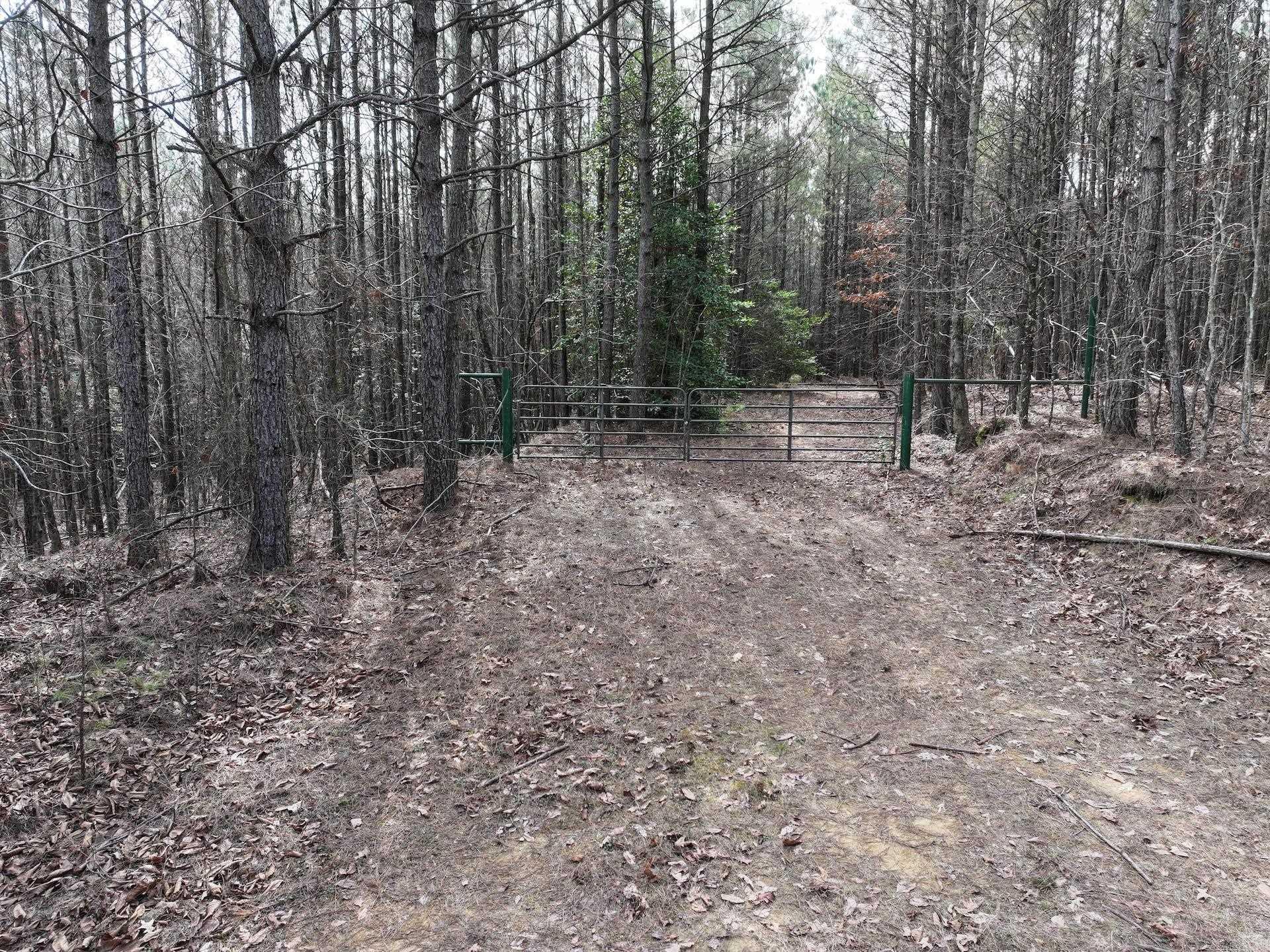 XXX J Dunson Tract 1 Langley, AR