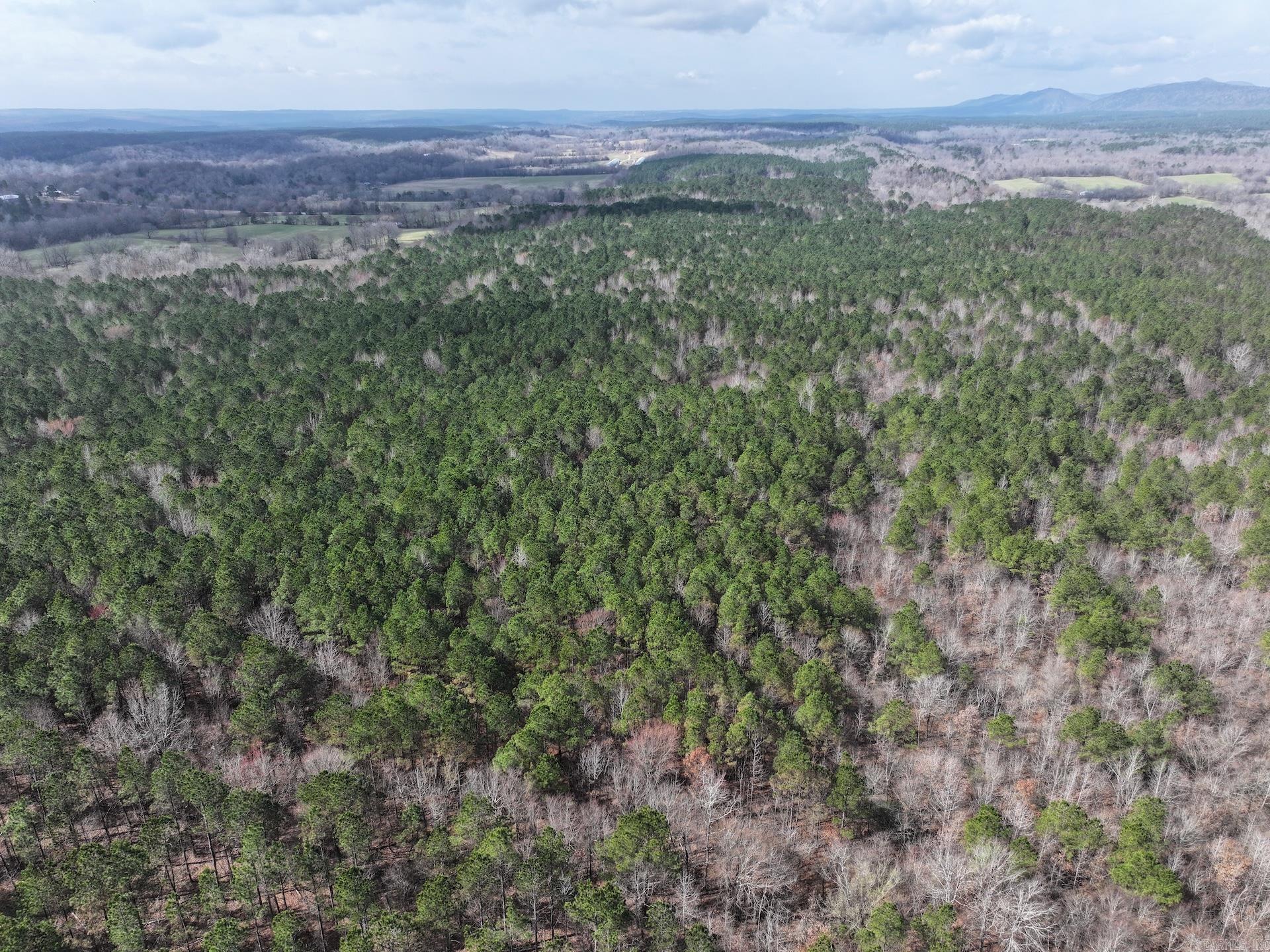 XXX J Dunson Tract 1 Langley, AR
