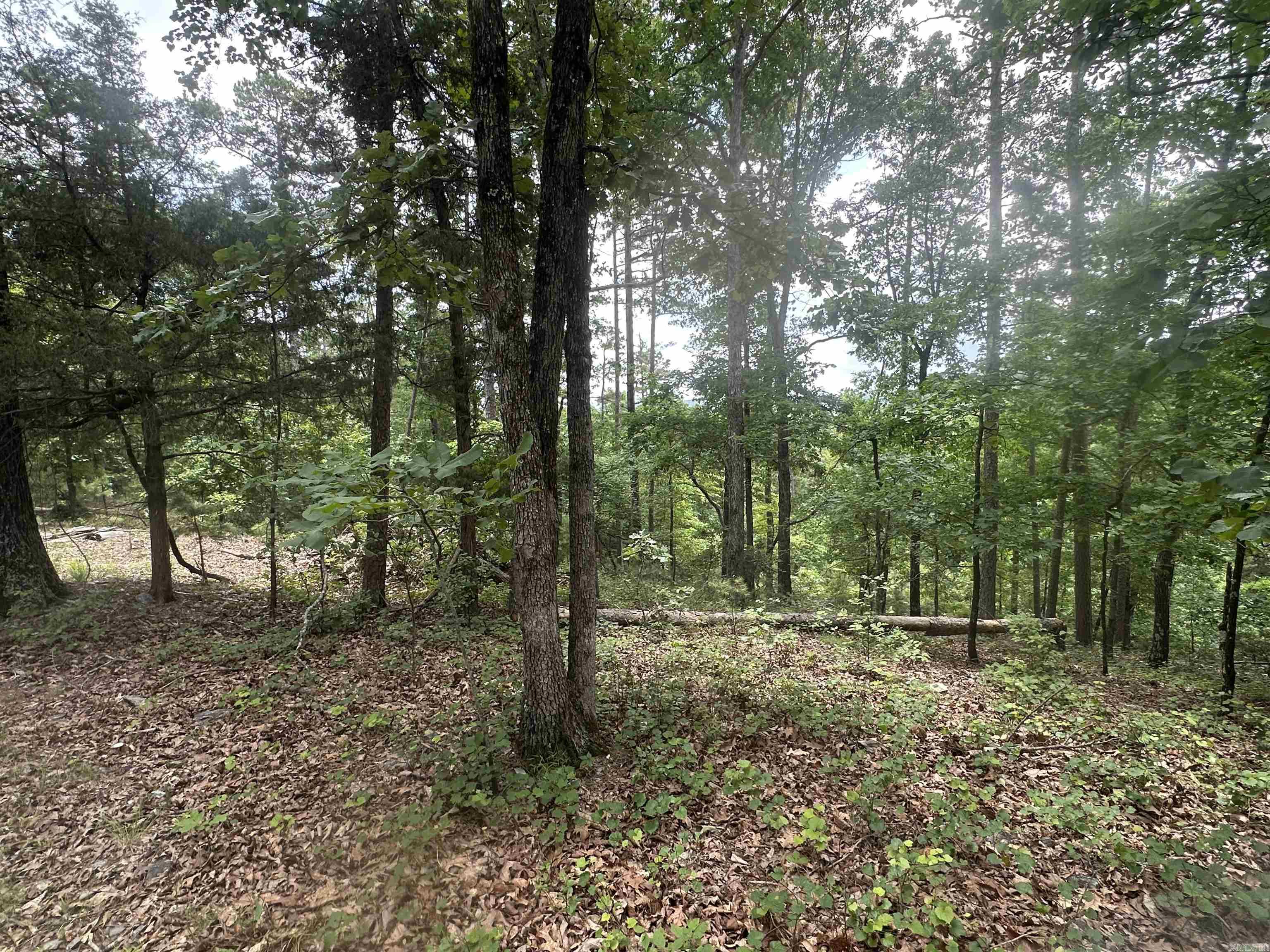 Tract 6 Whispering Wood Cove  Little Rock, AR