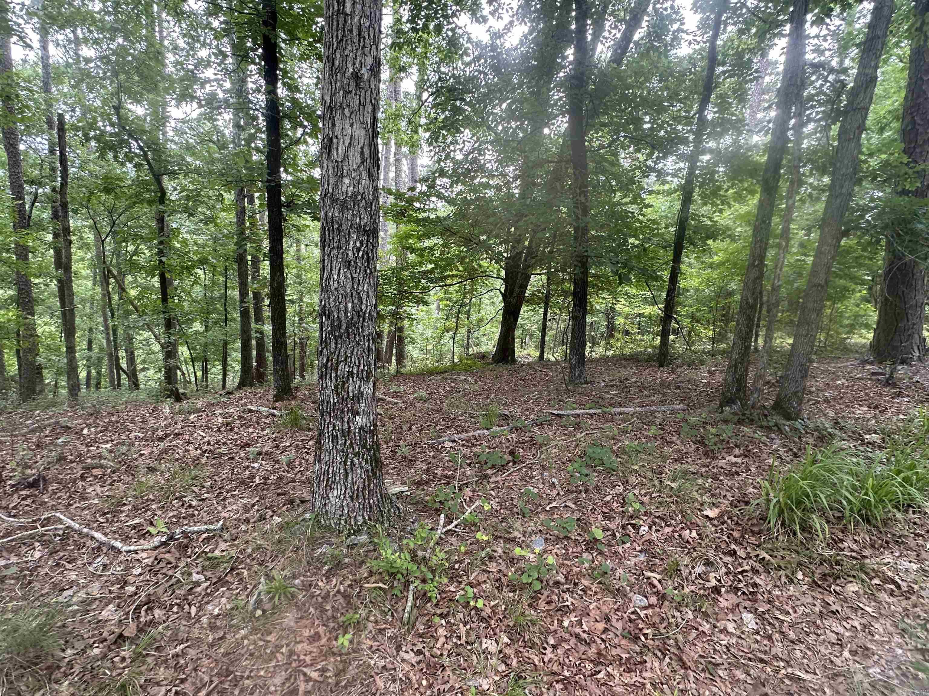 Tract 6 Whispering Wood Cove  Little Rock, AR