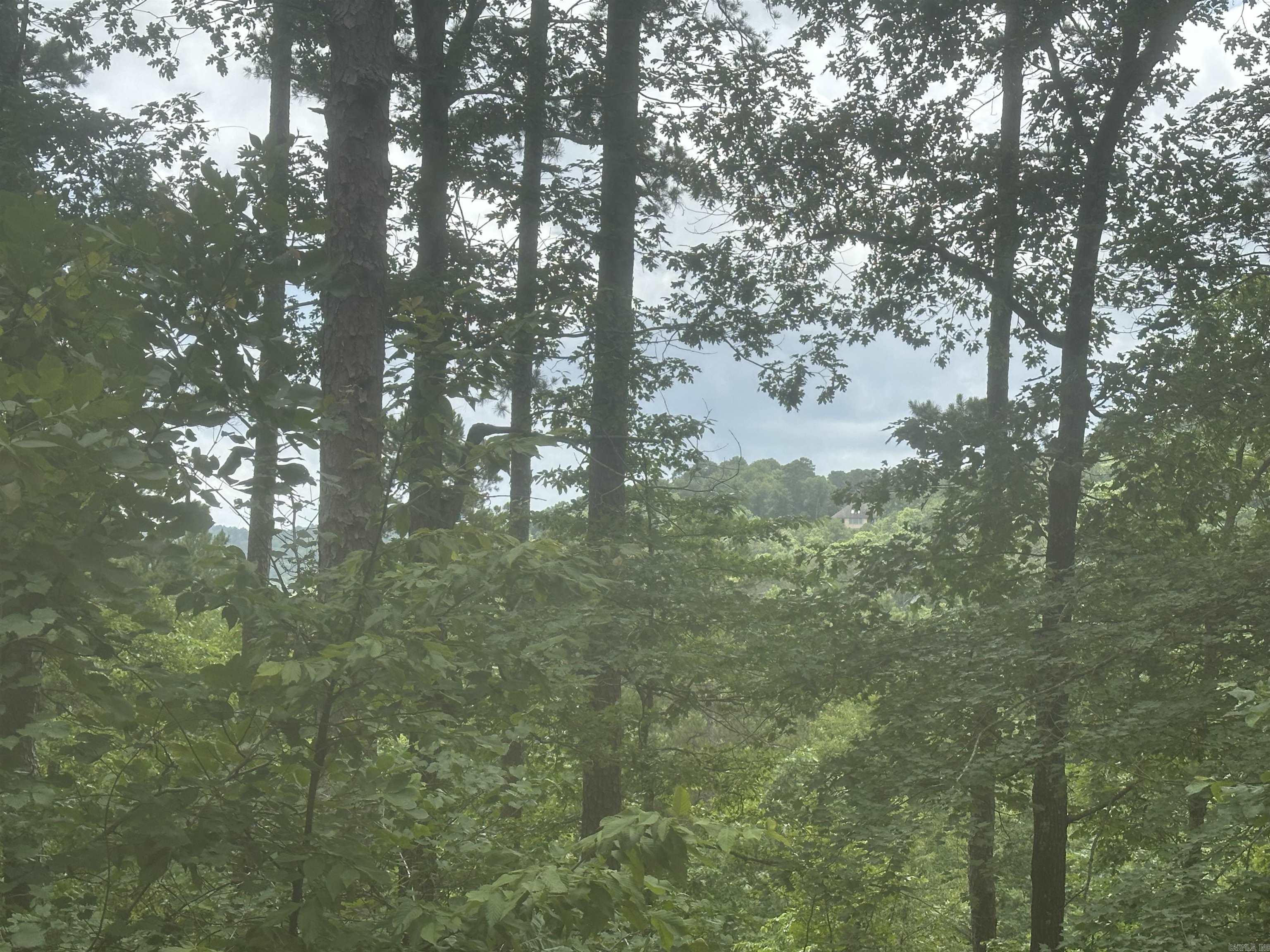 Tract 6 Whispering Wood Cove  Little Rock, AR