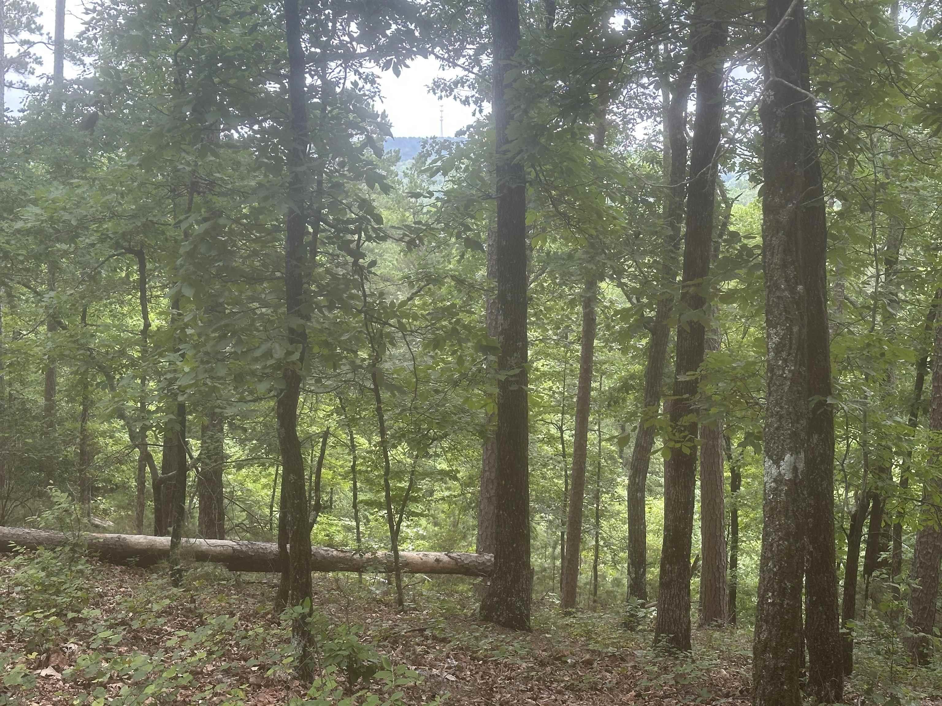 Tract 6 Whispering Wood Cove  Little Rock, AR