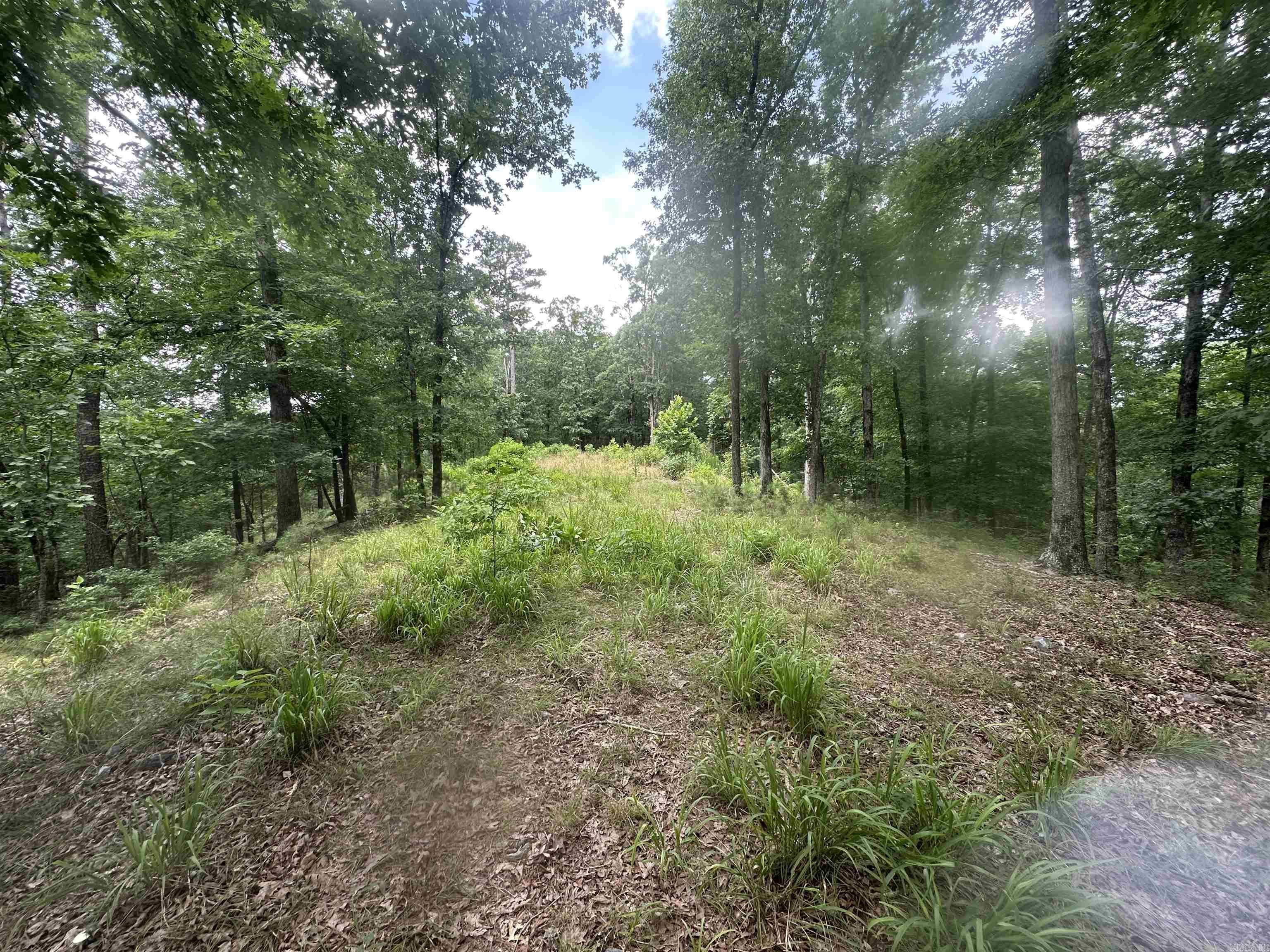 Tract 6 Whispering Wood Cove  Little Rock, AR