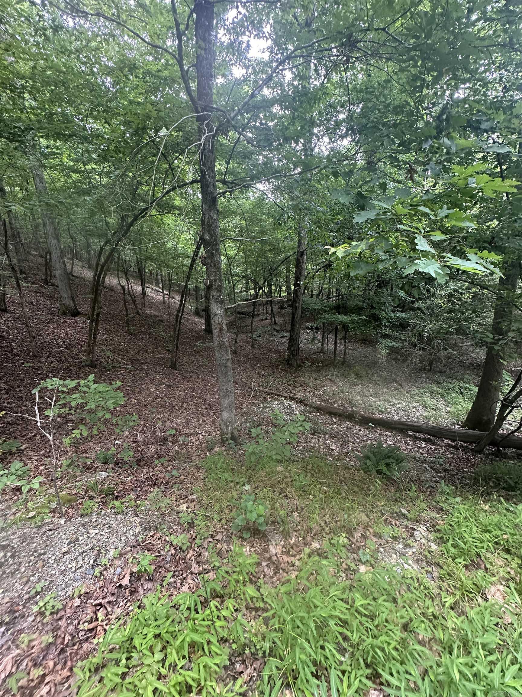 Tract 6 Whispering Wood Cove  Little Rock, AR