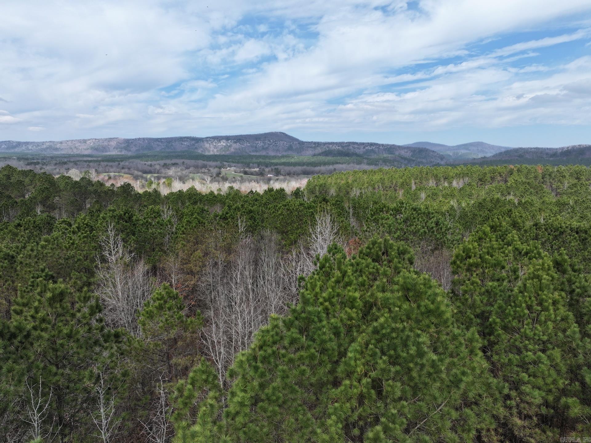 XXX J Dunson Tract 2 Langley, AR