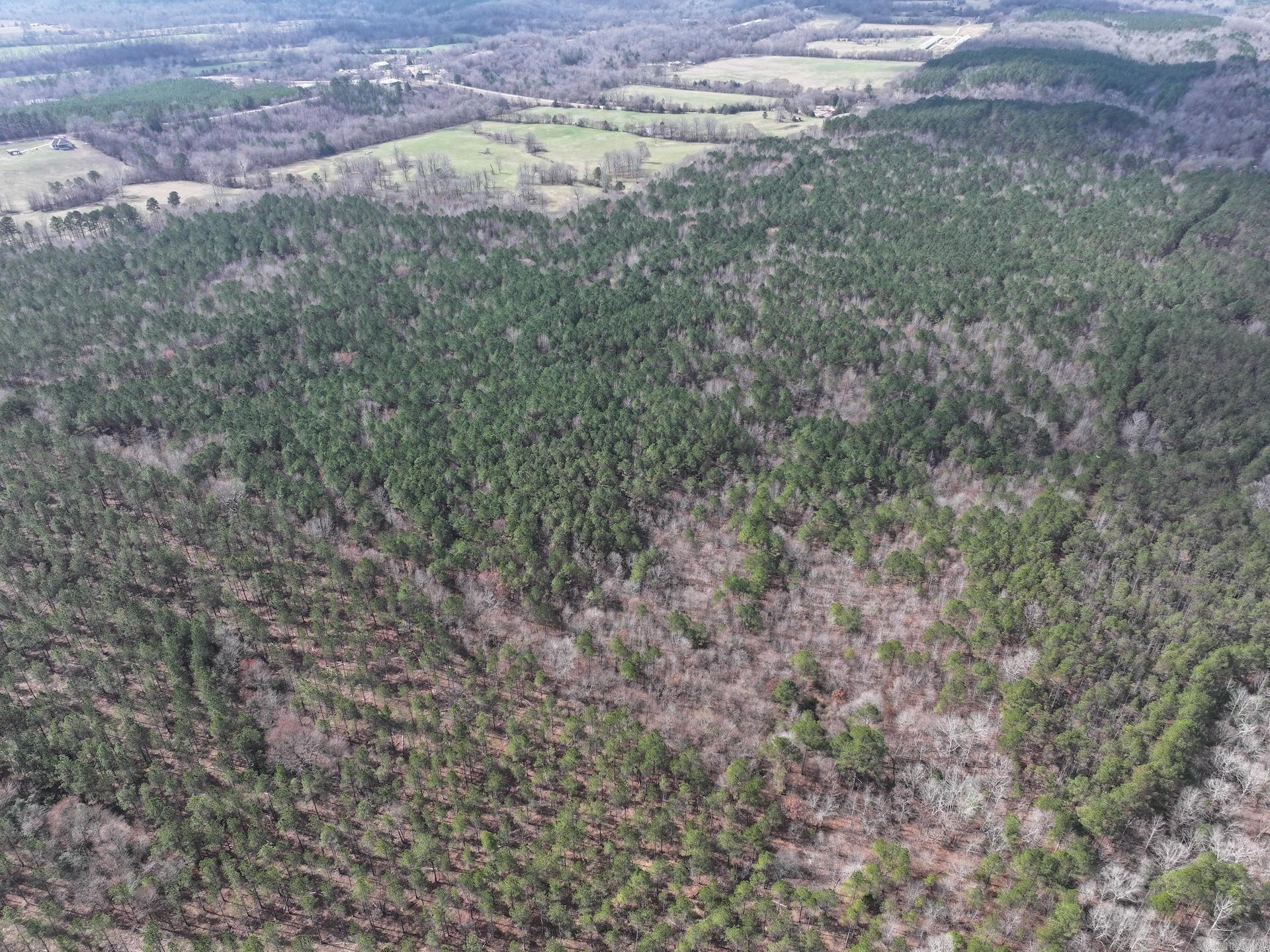 XXX J Dunson Tract 2 Langley, AR