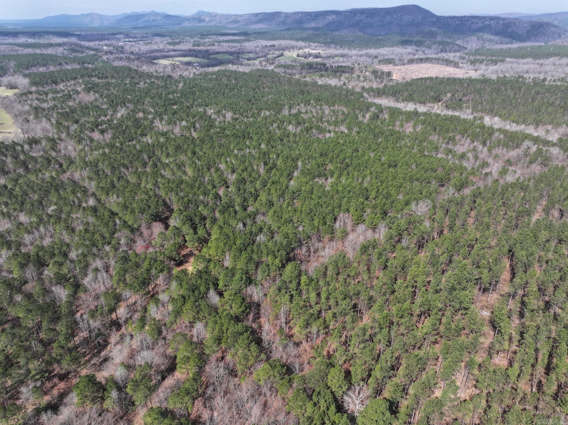 XXX J Dunson Tract 2 Langley, AR