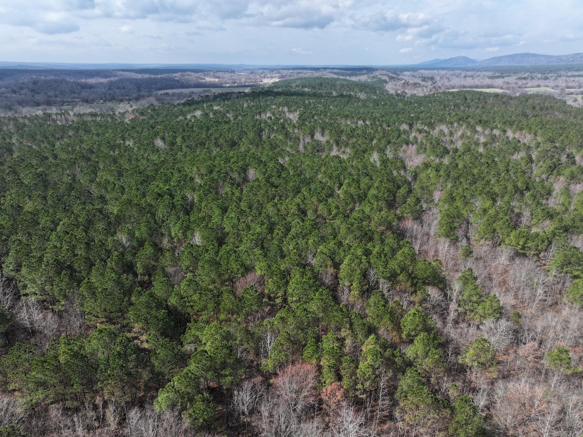 XXX J Dunson Tract 2 Langley, AR