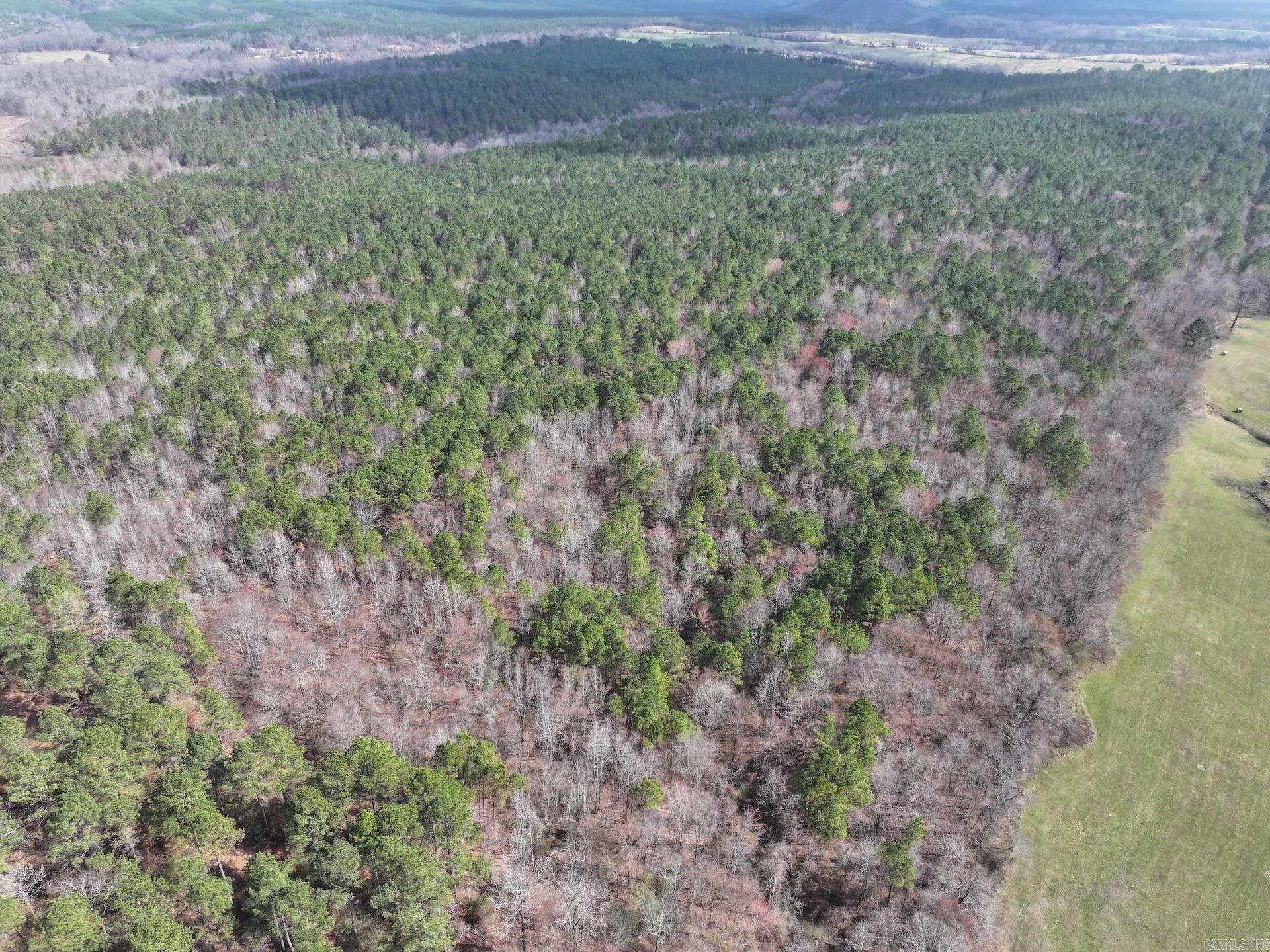 XXX J Dunson Tract 2 Langley, AR