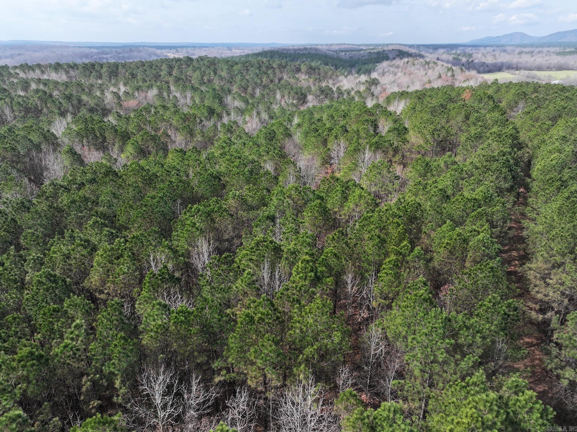 XXX J Dunson Tract 2 Langley, AR