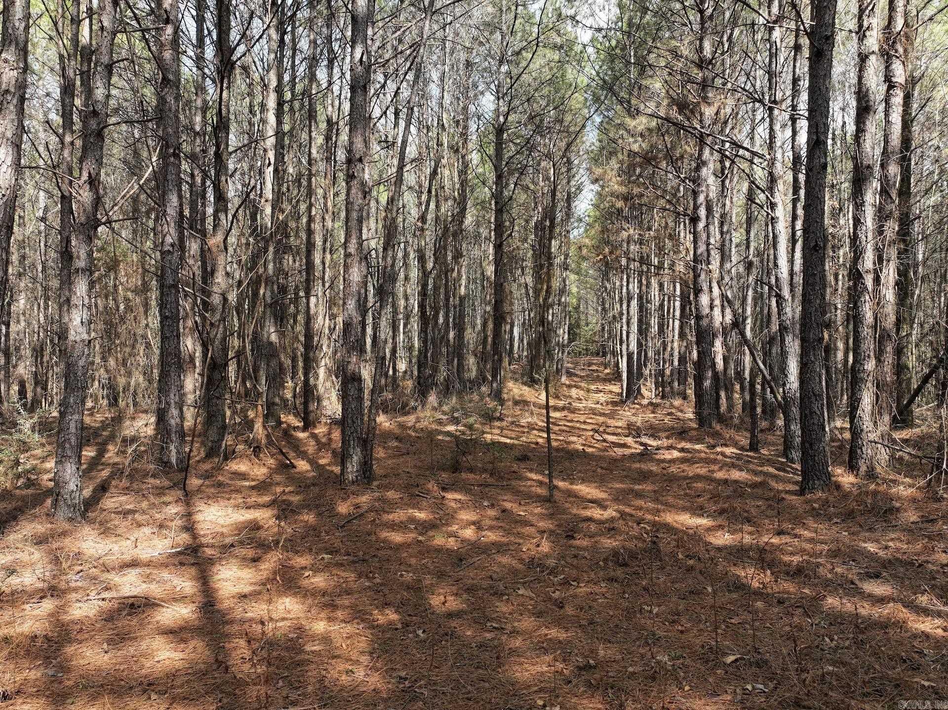 XXX J Dunson Tract 2 Langley, AR