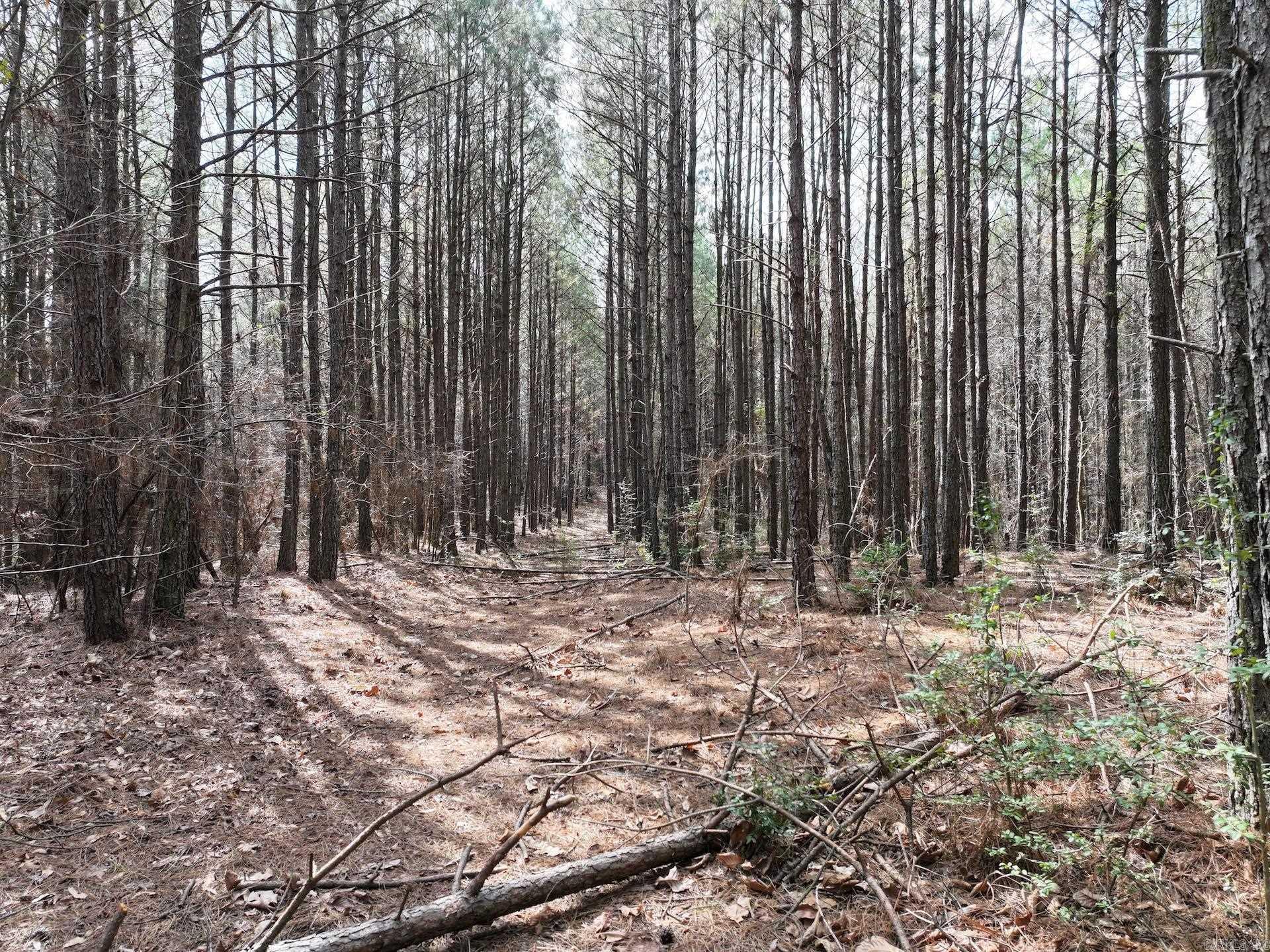 XXX J Dunson Tract 2 Langley, AR