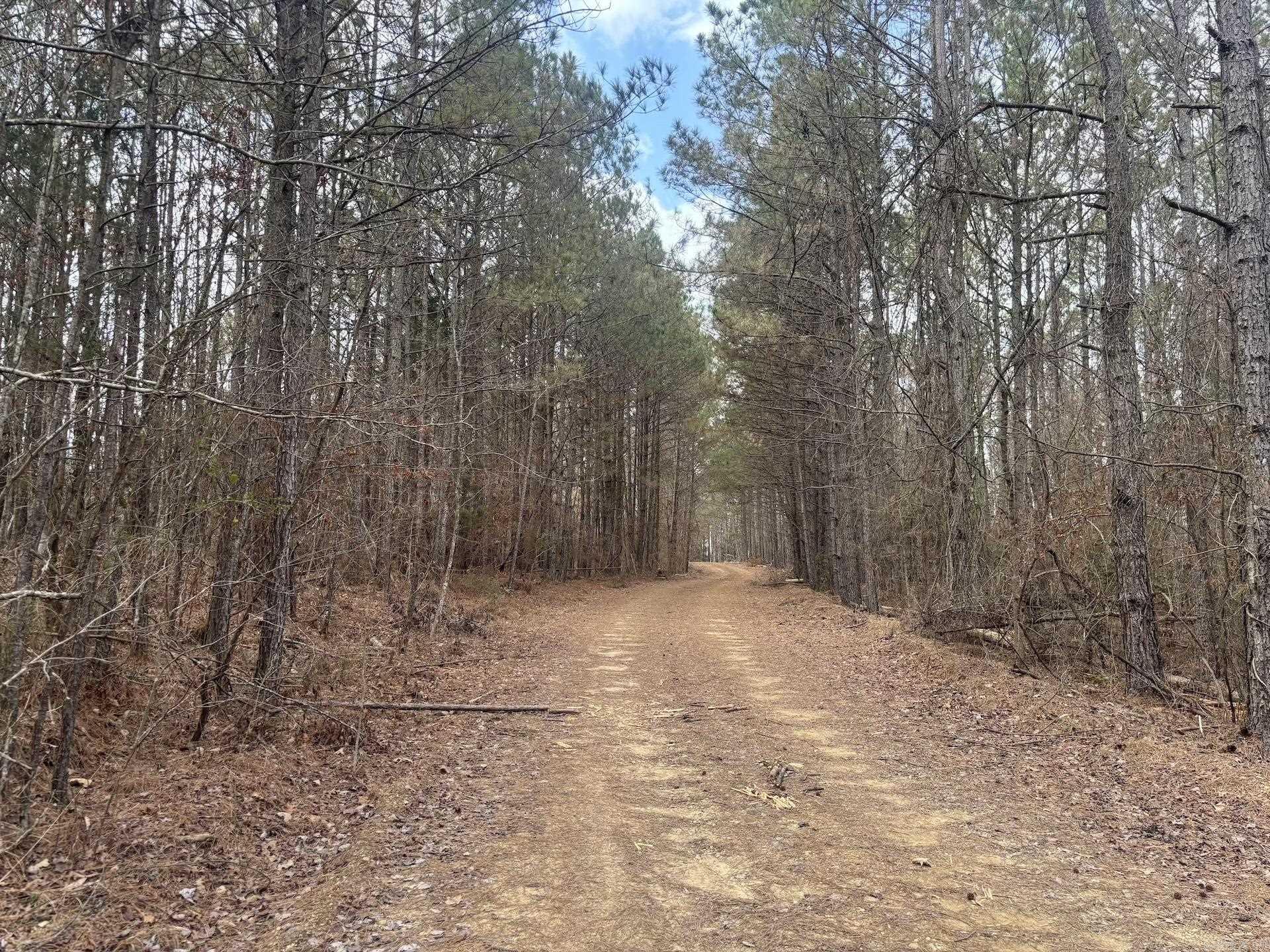 XXX J Dunson Tract 2 Langley, AR