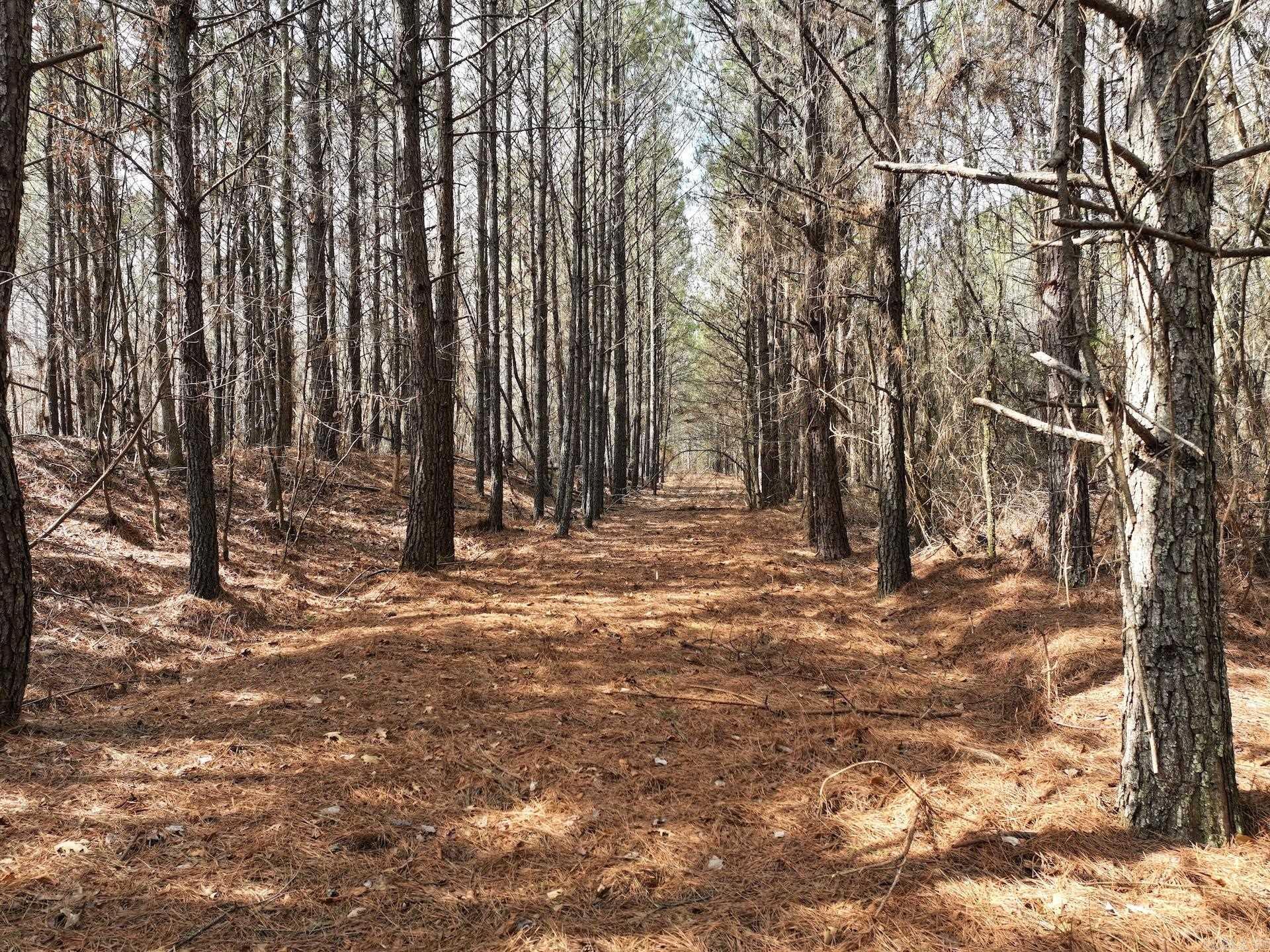 XXX J Dunson Tract 2 Langley, AR