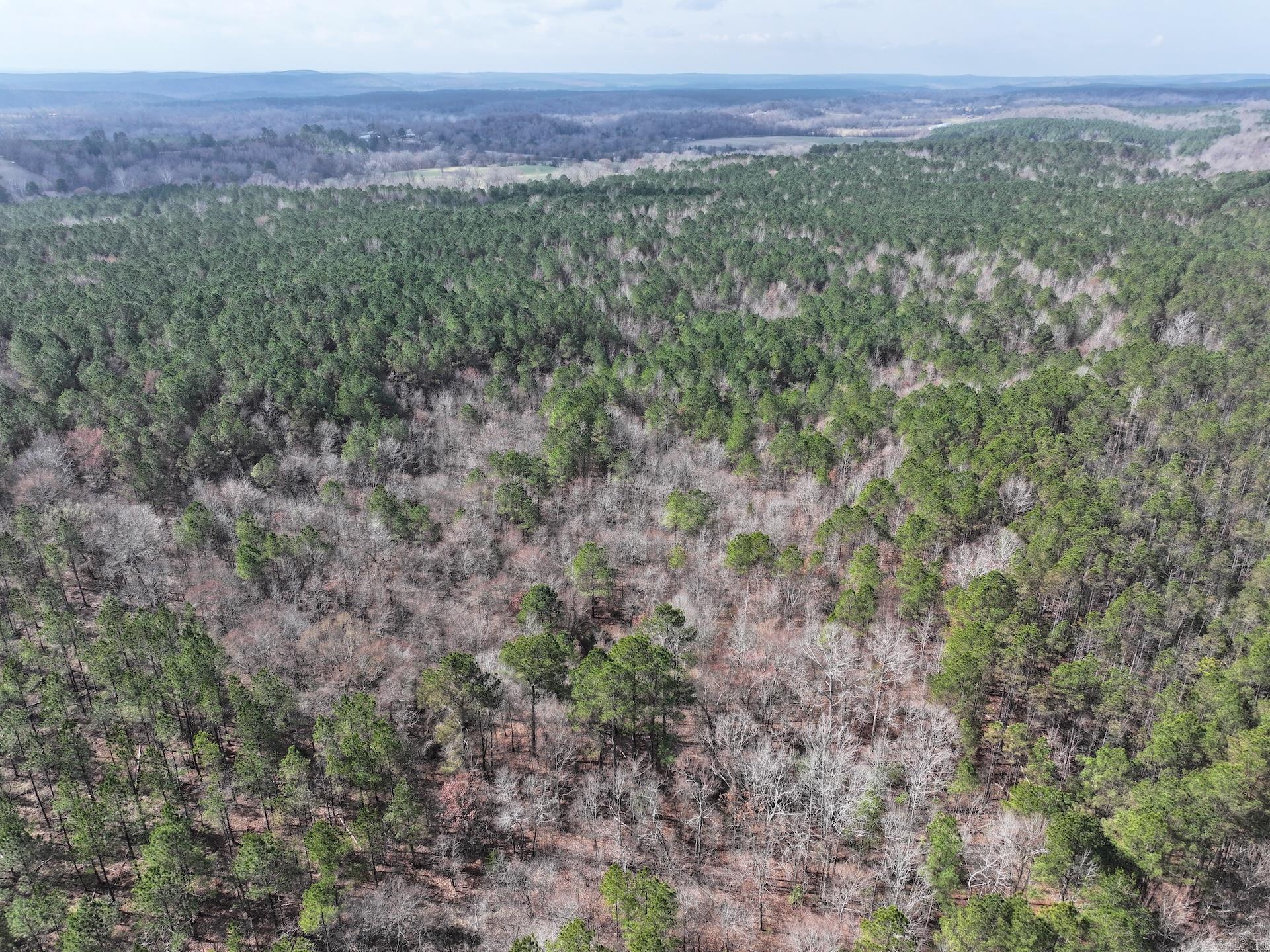 XXX J Dunson Tract 2 Langley, AR