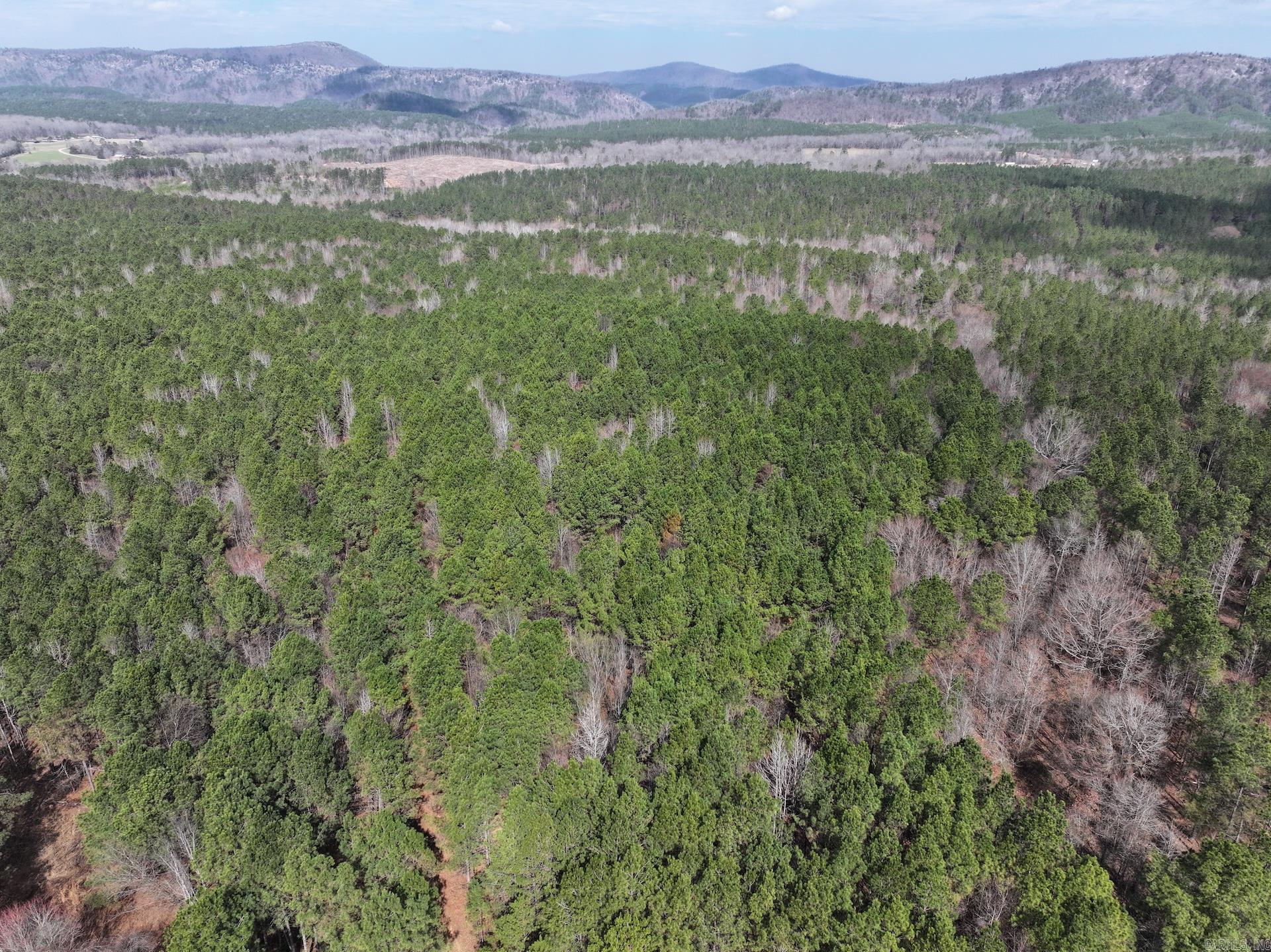 XXX J Dunson Tract 2 Langley, AR