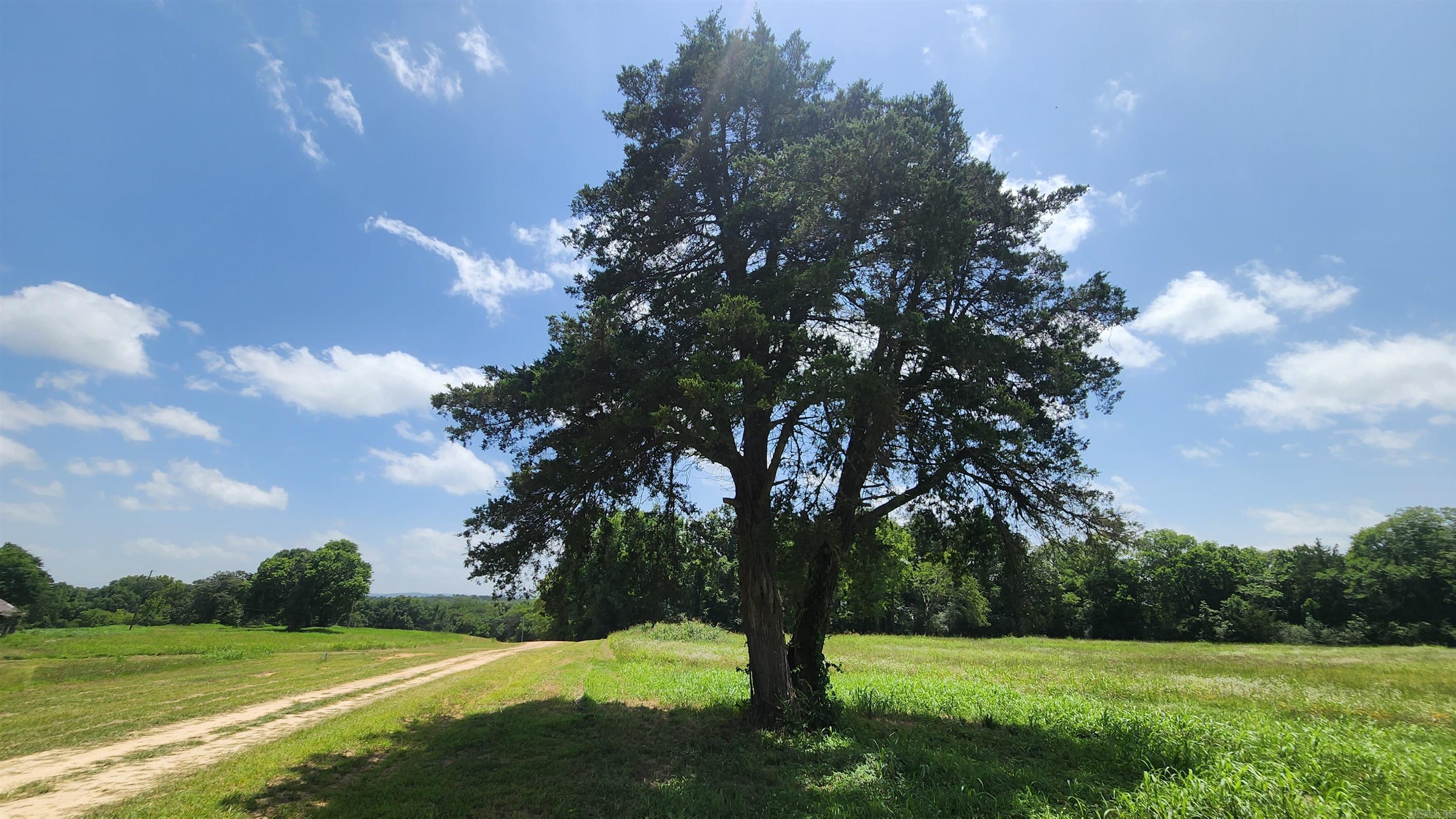 TBD (Tract 05) Whittington Homestead  Story, AR