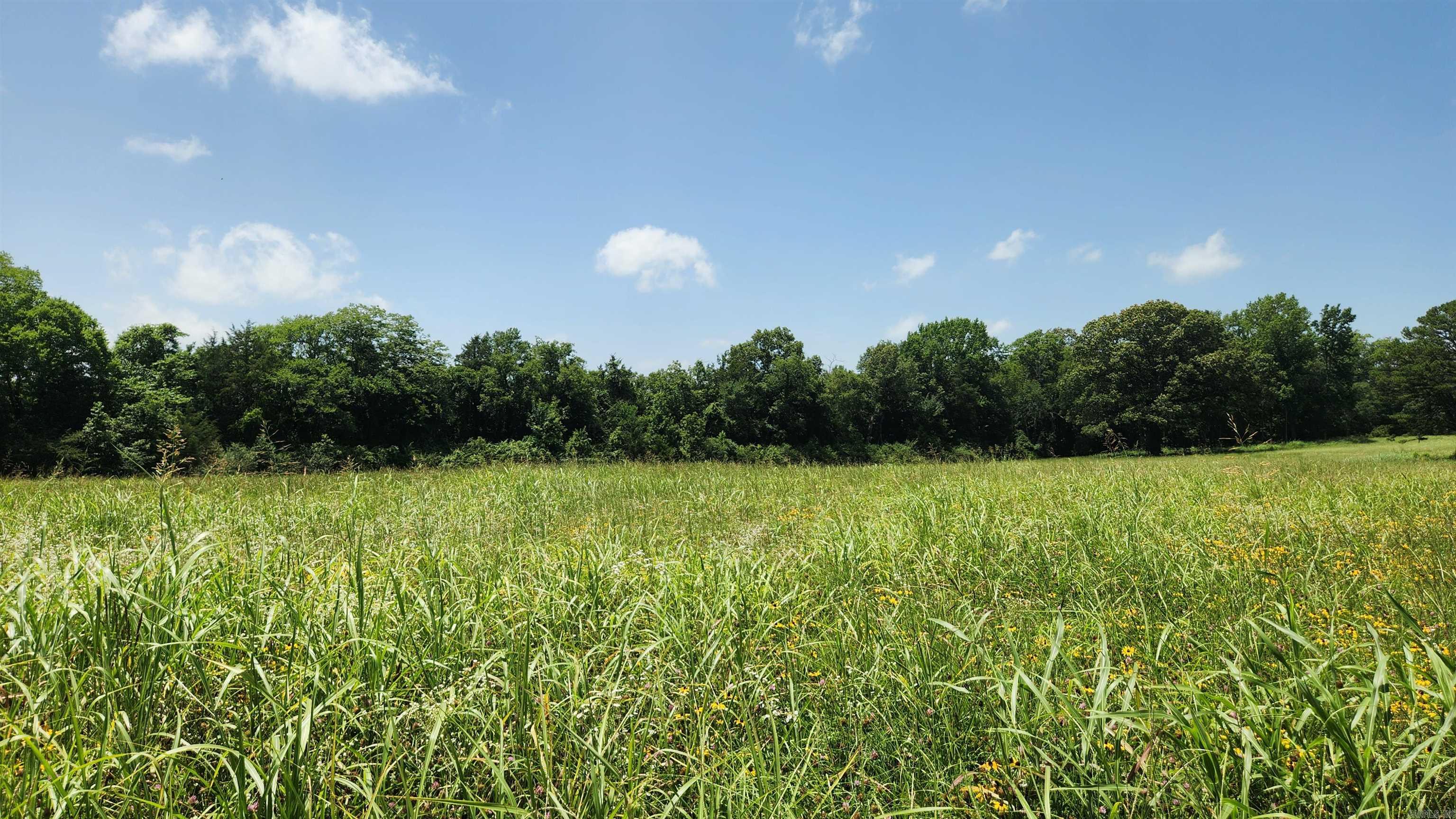 TBD (Tract 05) Whittington Homestead  Story, AR