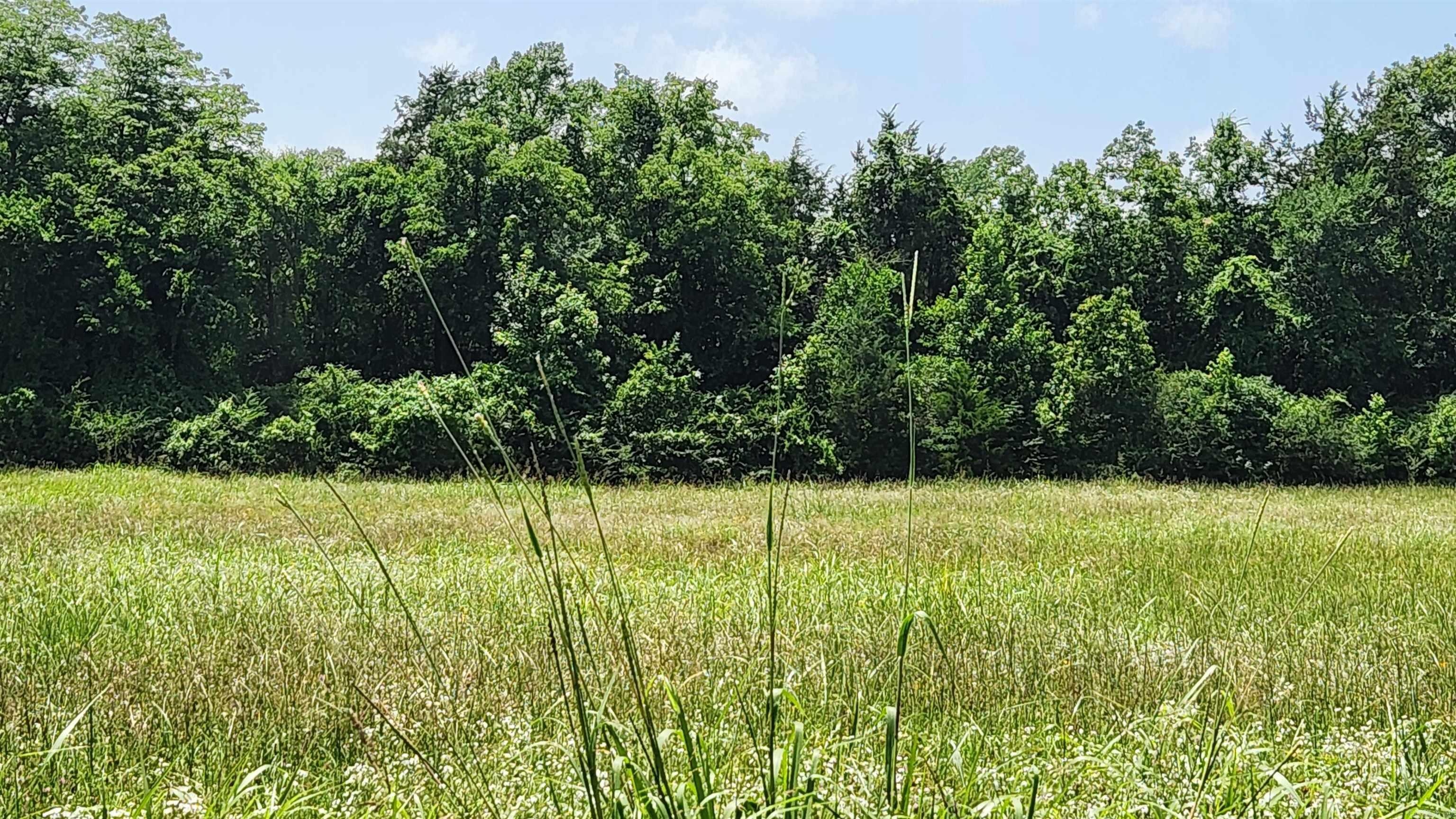 TBD (Tract 05) Whittington Homestead  Story, AR