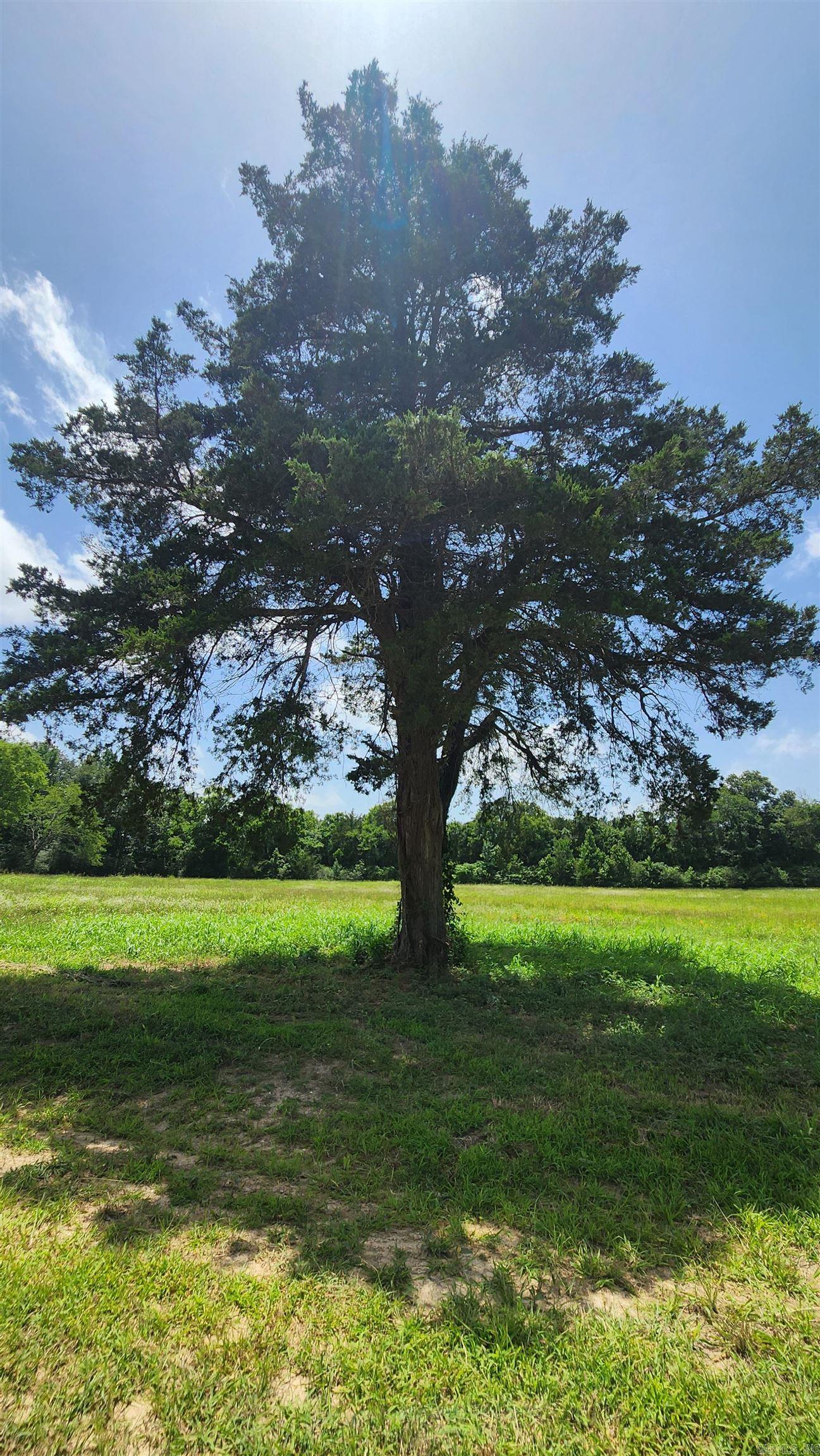 TBD (Tract 05) Whittington Homestead  Story, AR