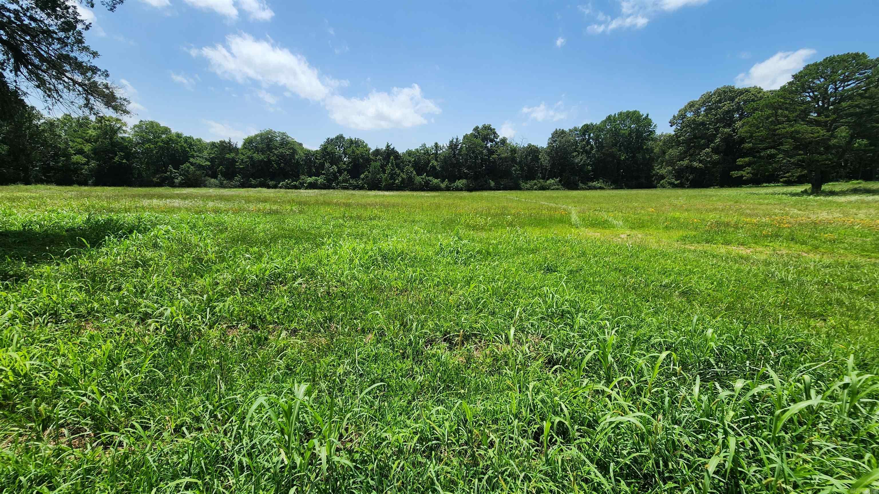 TBD (Tract 05) Whittington Homestead  Story, AR