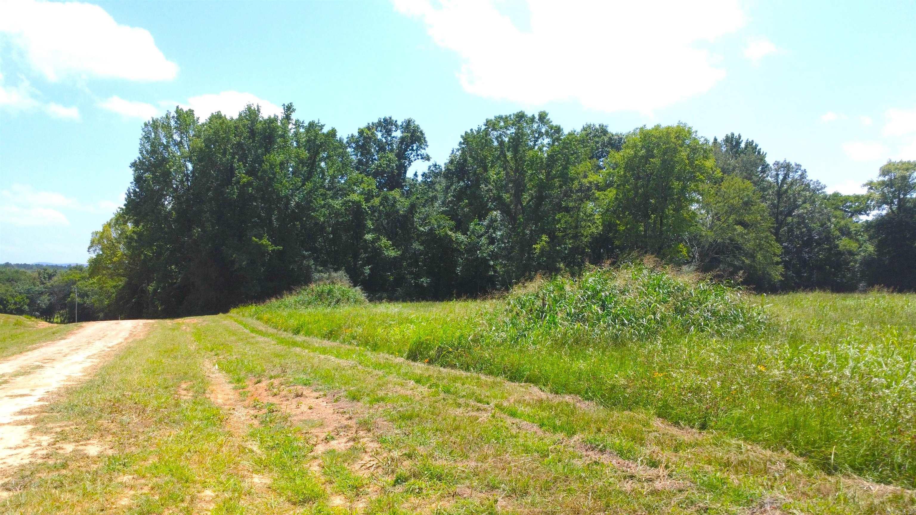 TBD (Tract 05) Whittington Homestead  Story, AR