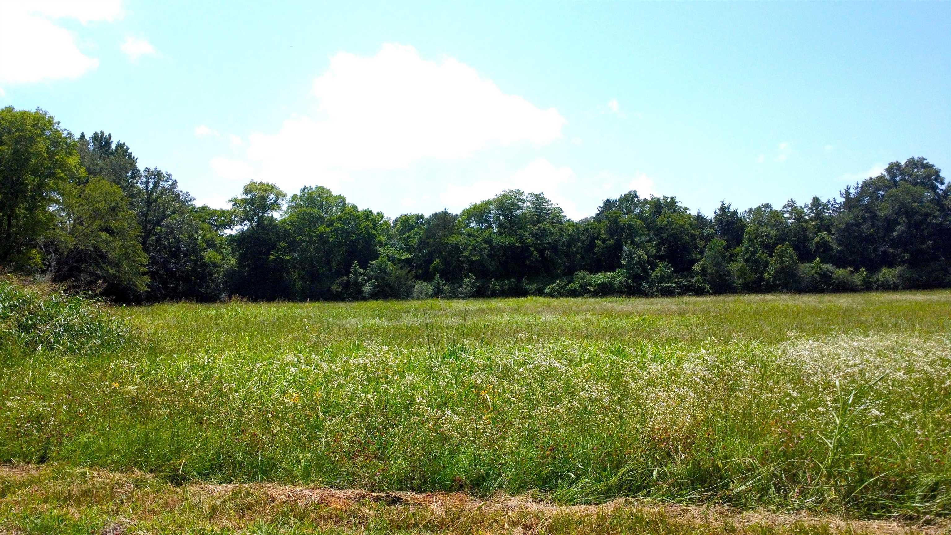 TBD (Tract 05) Whittington Homestead  Story, AR