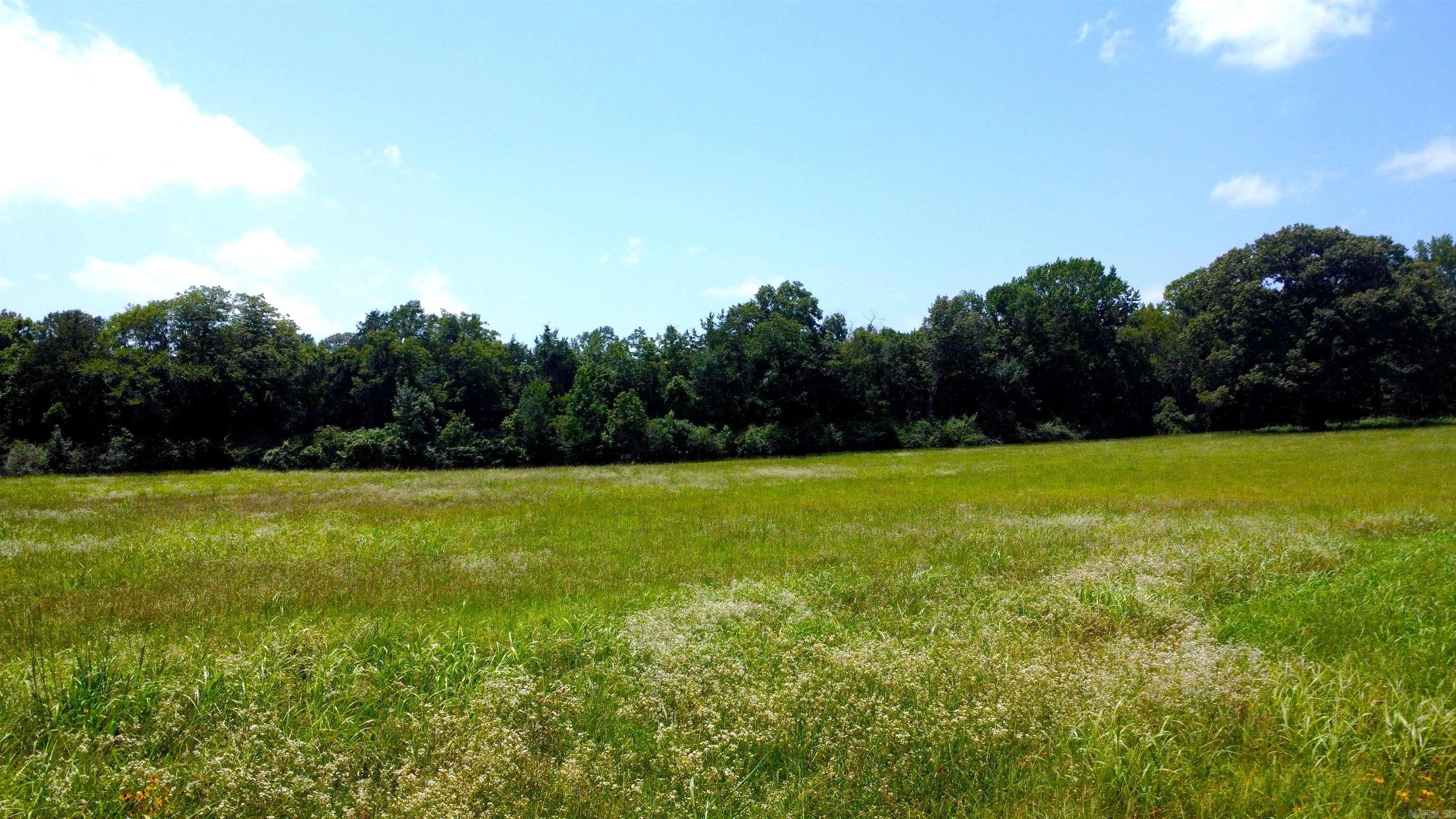 TBD (Tract 05) Whittington Homestead  Story, AR