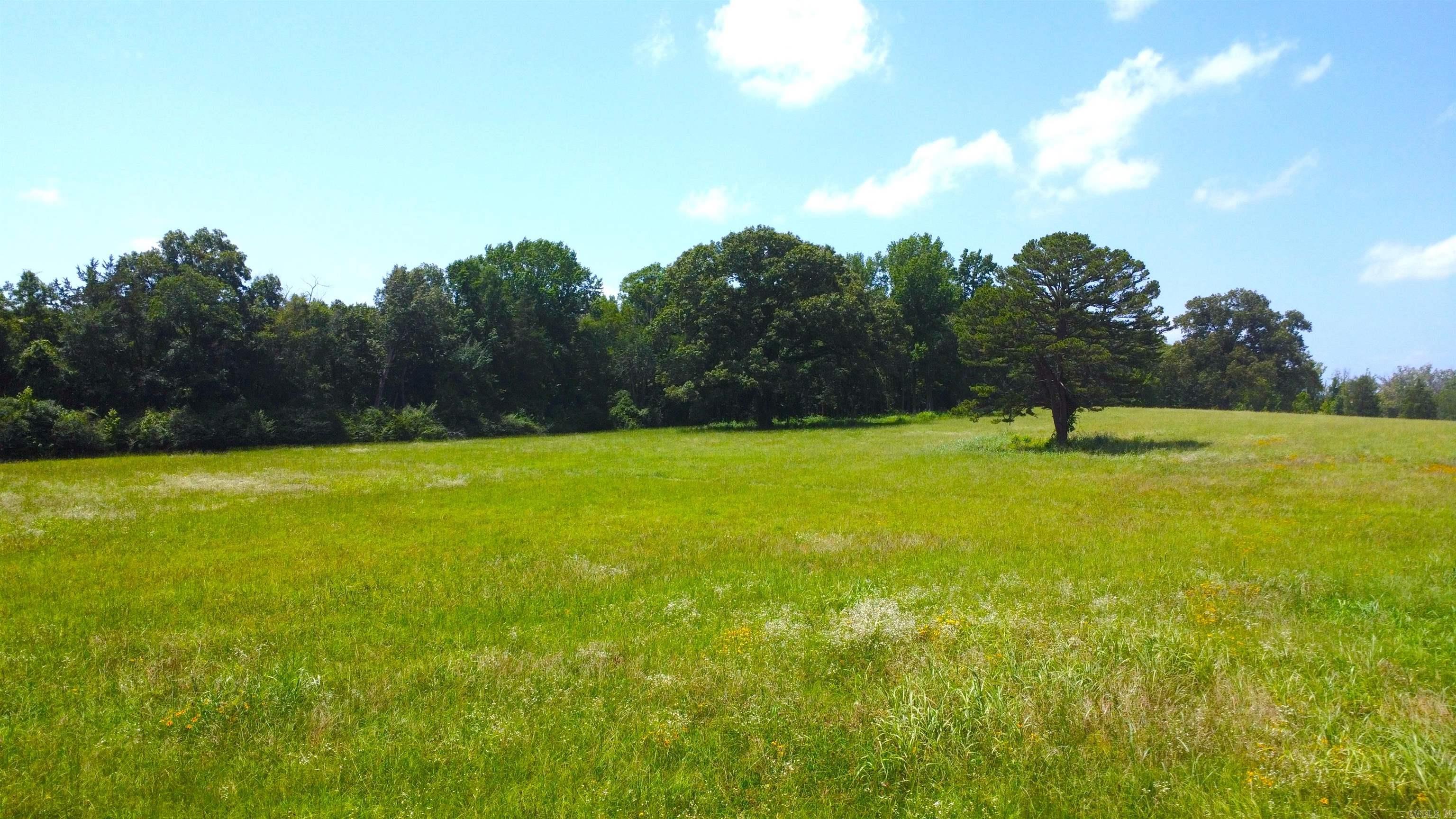 TBD (Tract 05) Whittington Homestead  Story, AR