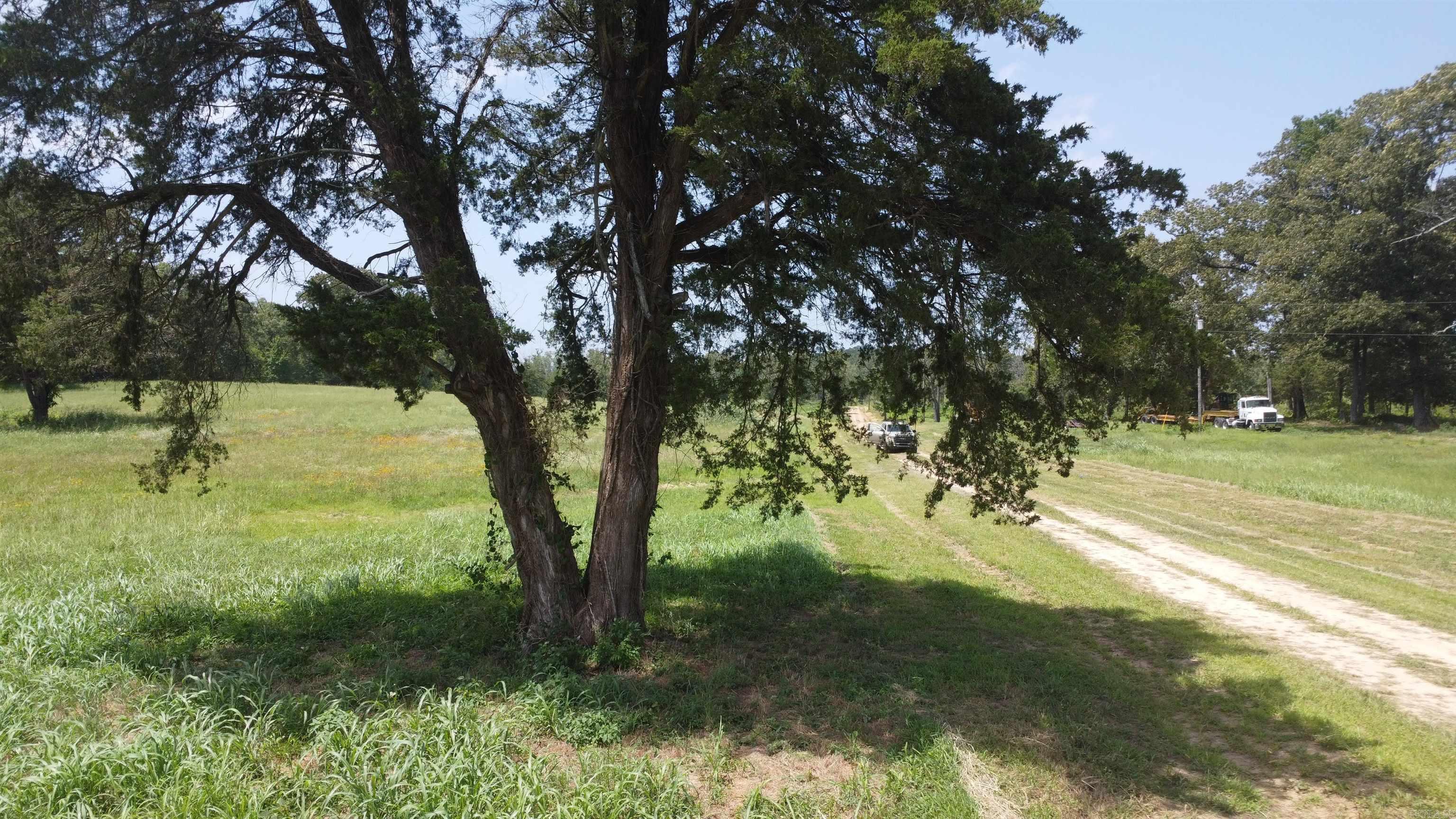 TBD (Tract 05) Whittington Homestead  Story, AR