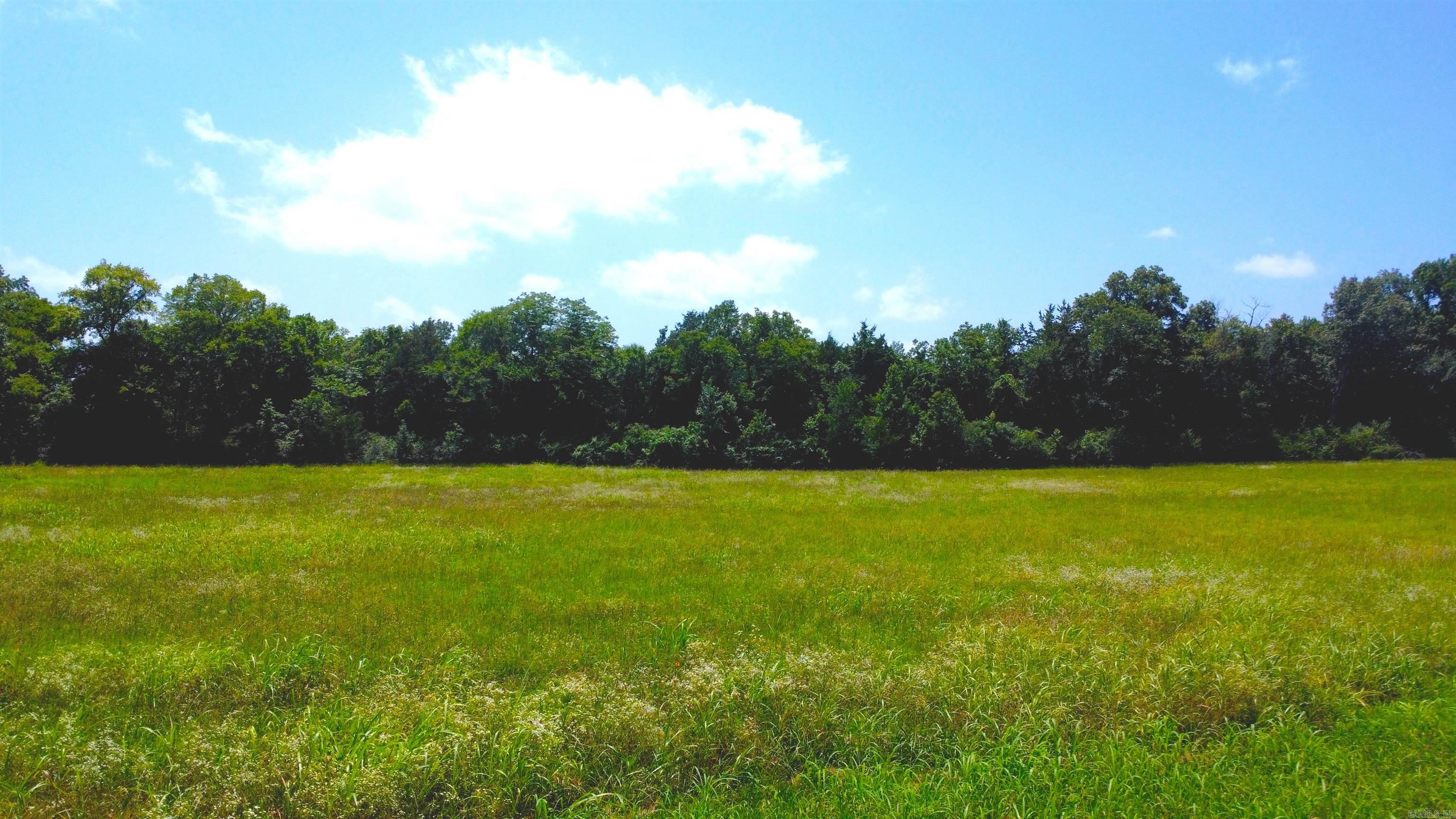 TBD (Tract 05) Whittington Homestead  Story, AR