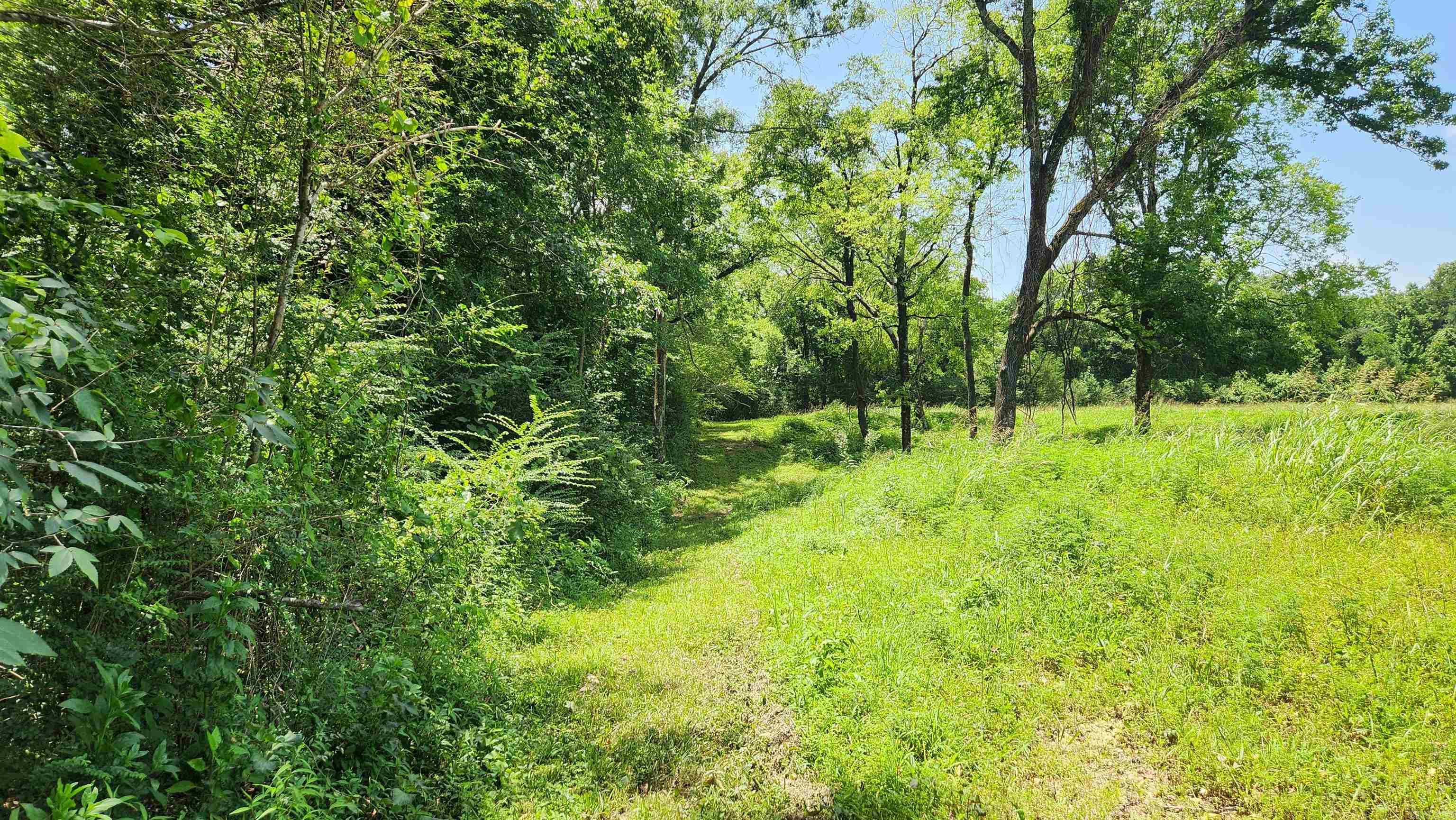 TBD (Tract 05) Whittington Homestead  Story, AR