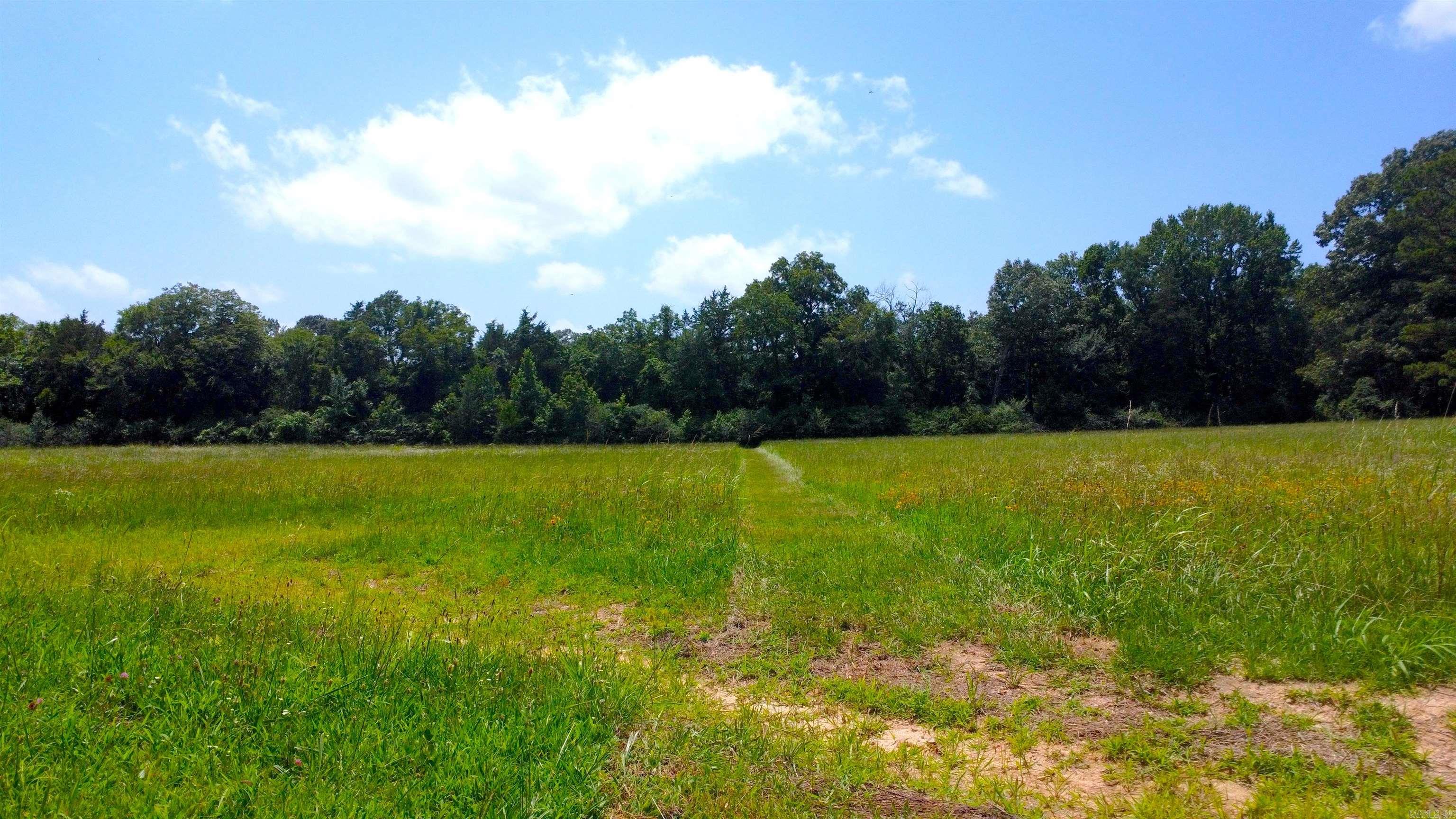 TBD (Tract 05) Whittington Homestead  Story, AR