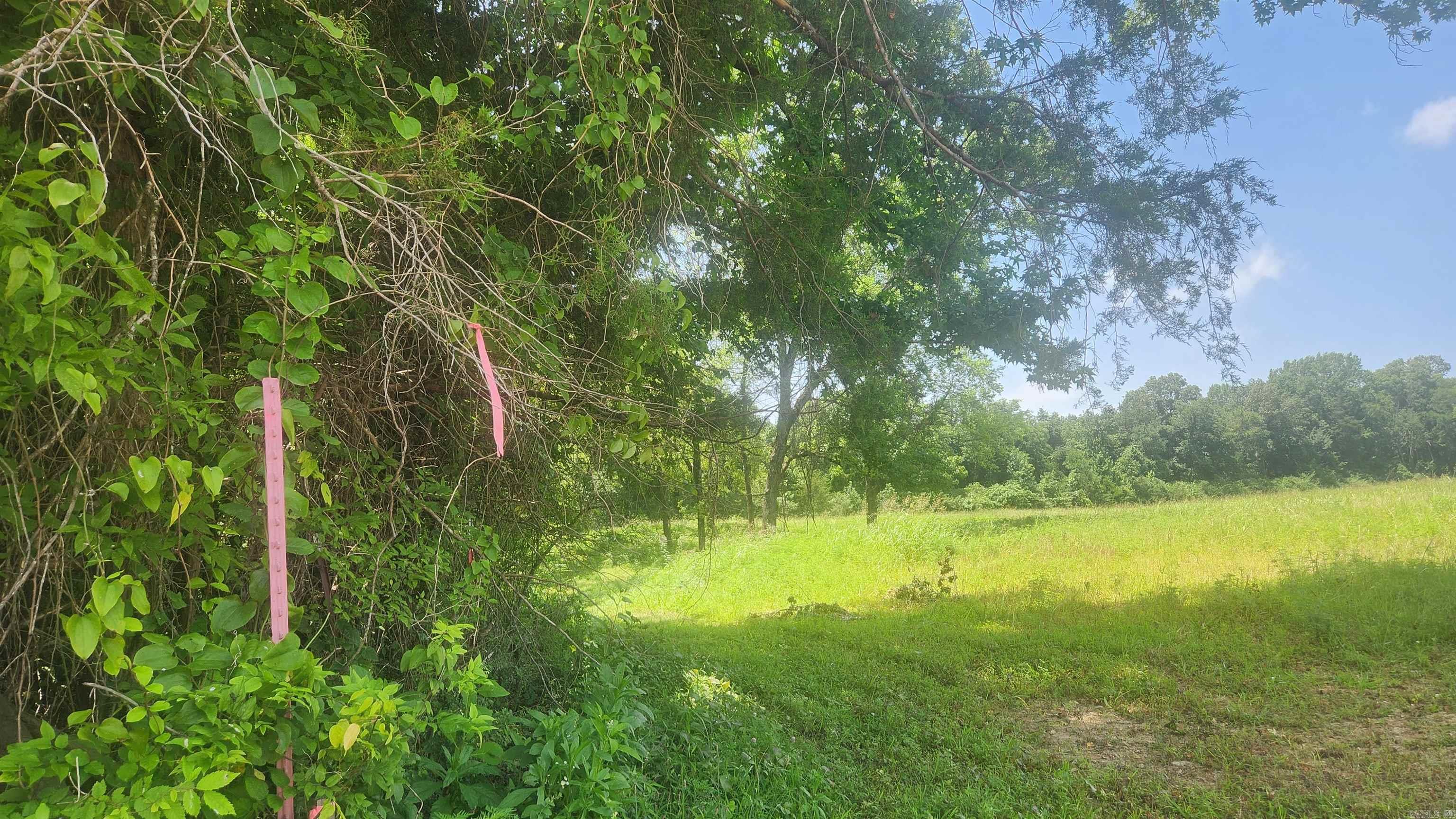 TBD (Tract 05) Whittington Homestead  Story, AR