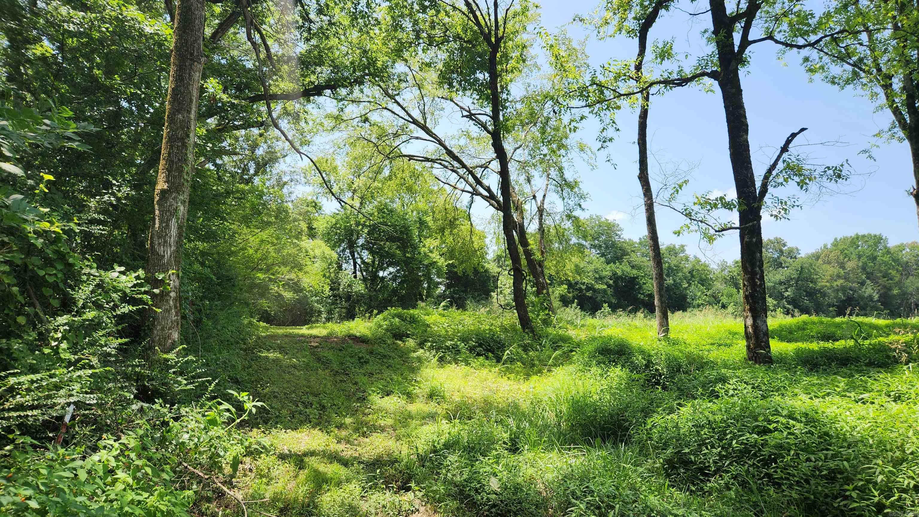 TBD (Tract 05) Whittington Homestead  Story, AR