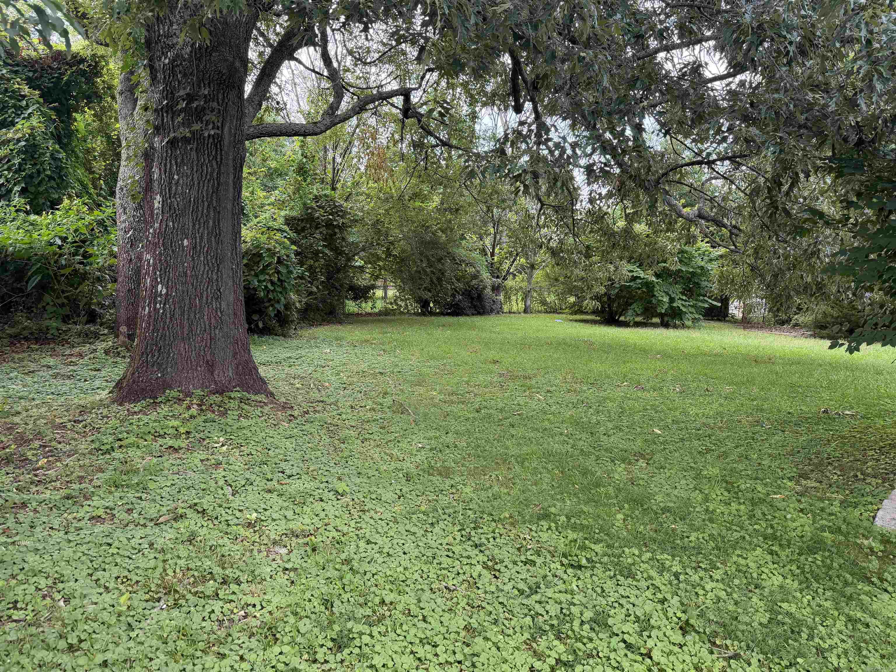 506 S Eve  Mena, AR